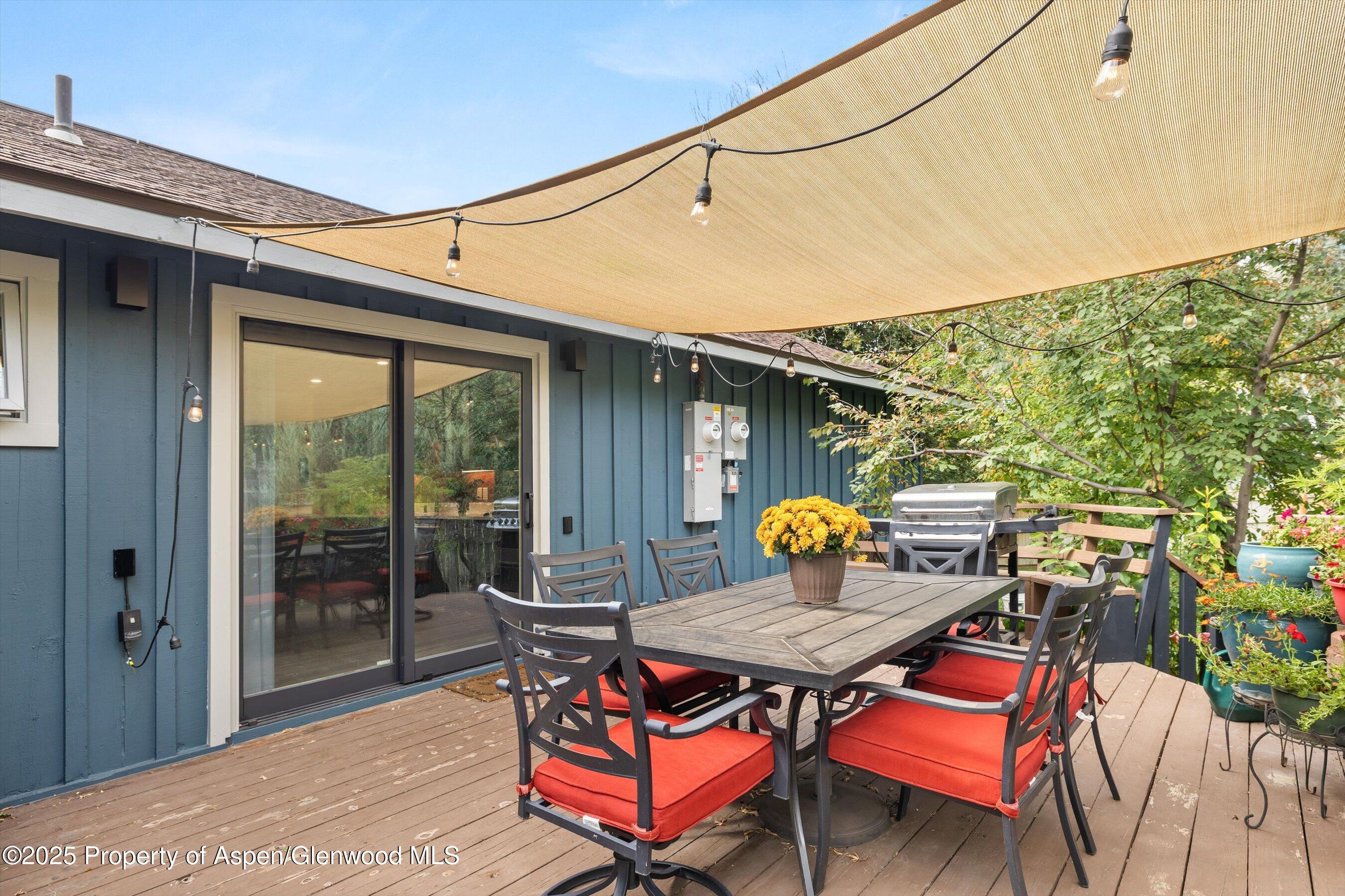 26 Maroon Drive Carbondale CO 81623