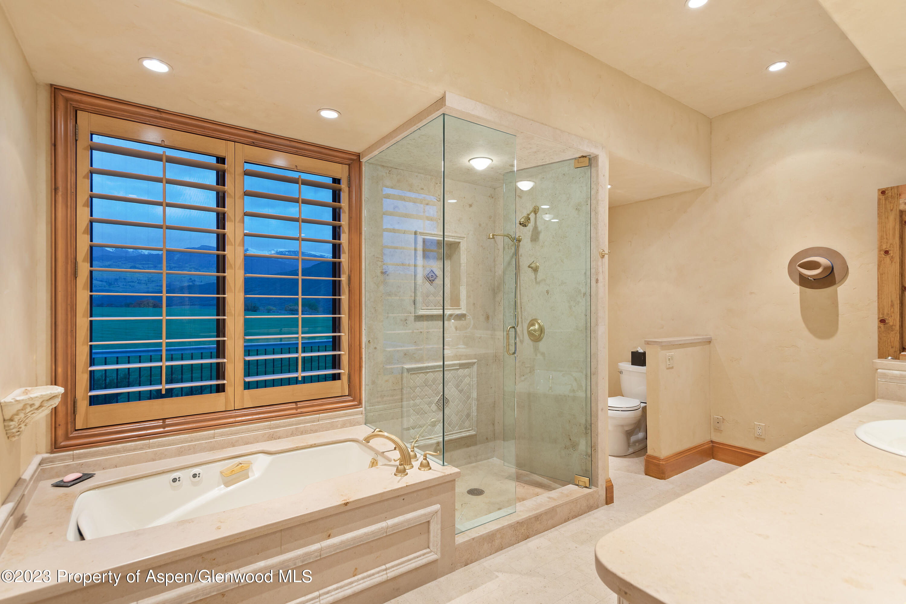 1650 Mclain Flats Road Aspen CO 81611