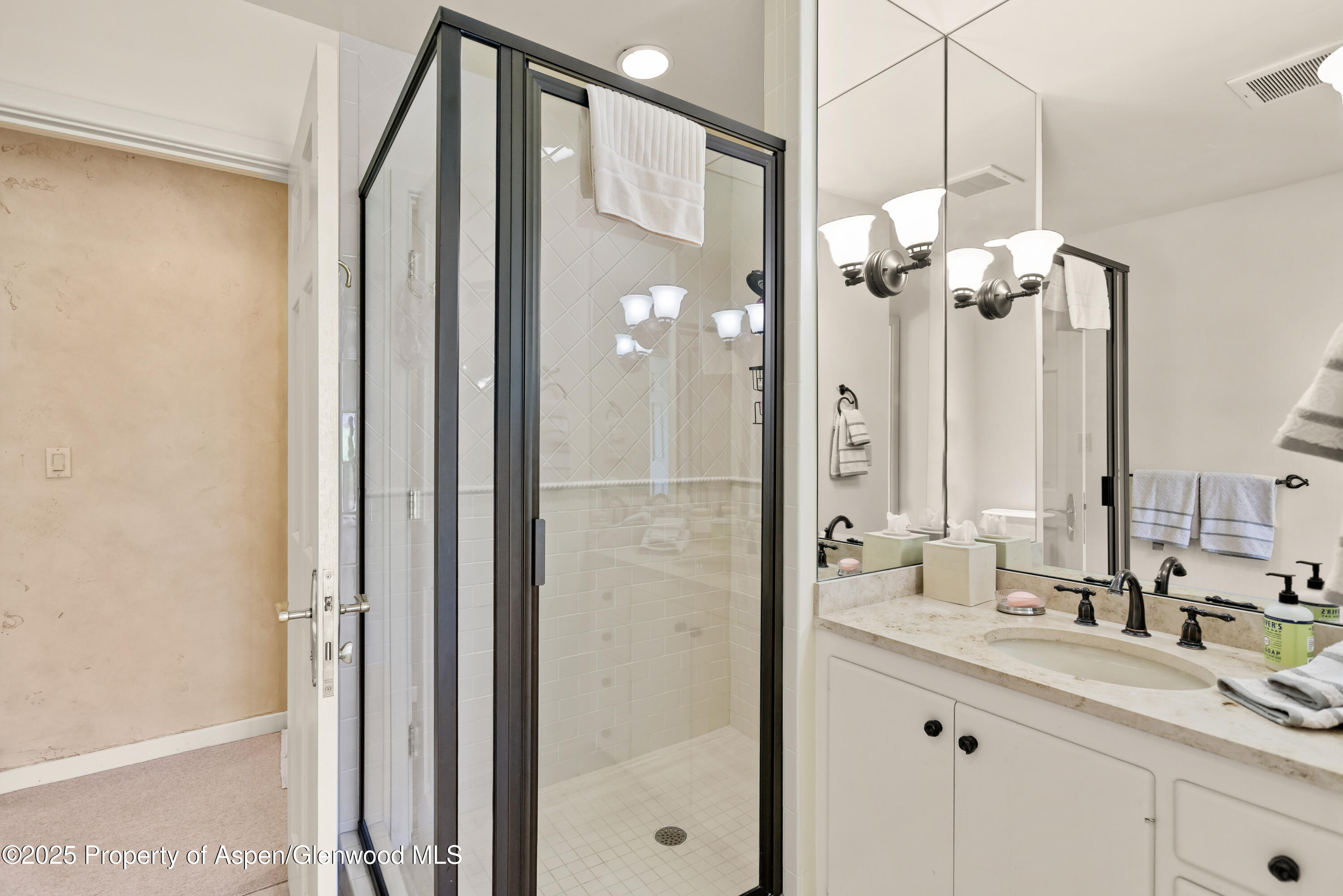 1650 Mclain Flats Road Aspen CO 81611