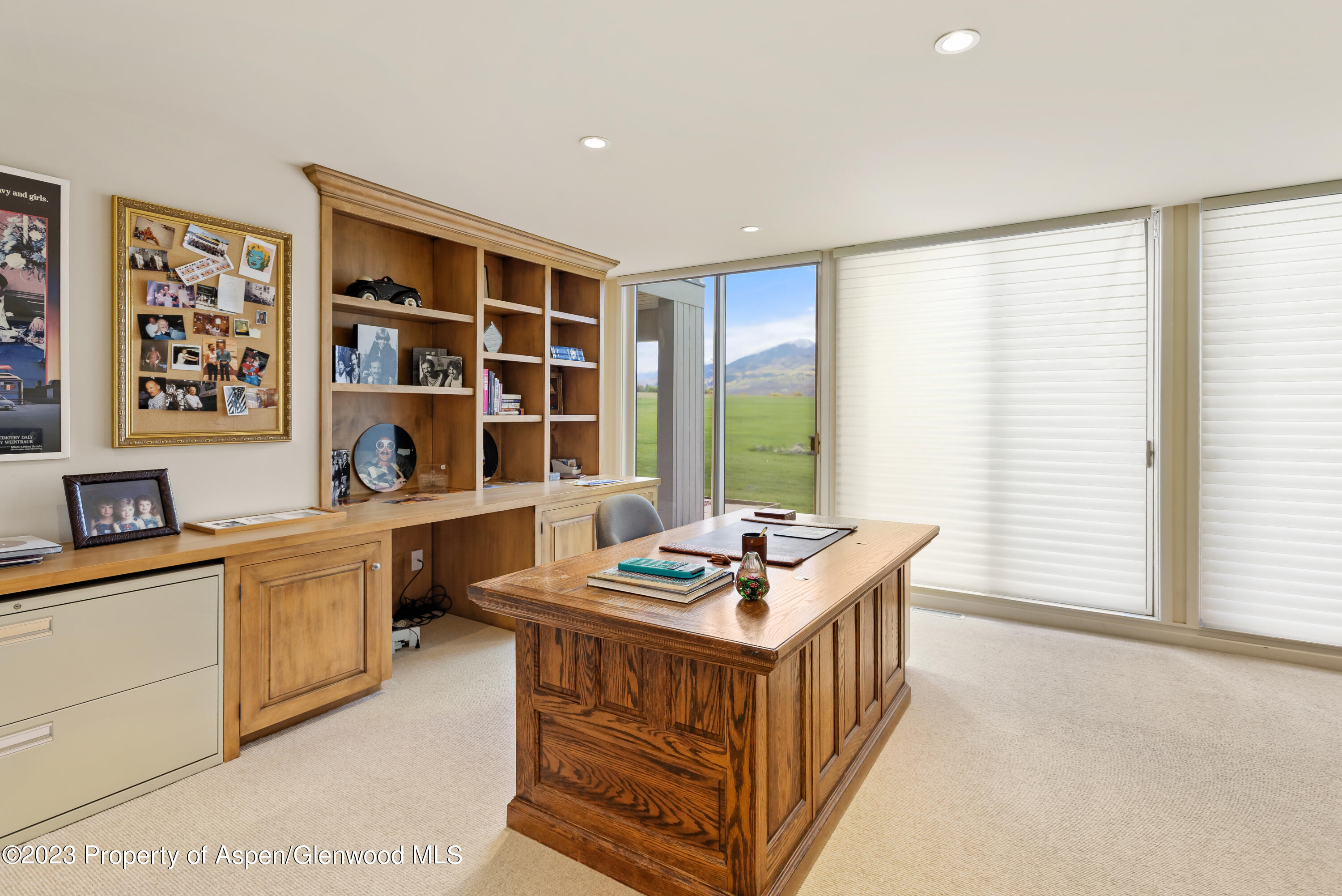 1650 Mclain Flats Road Aspen CO 81611