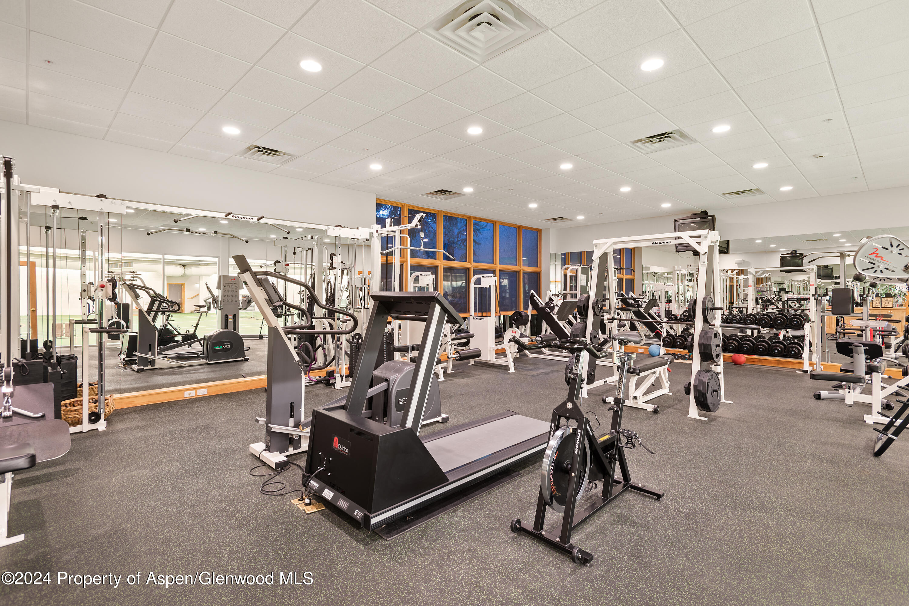 1650 Mclain Flats Road Aspen CO 81611