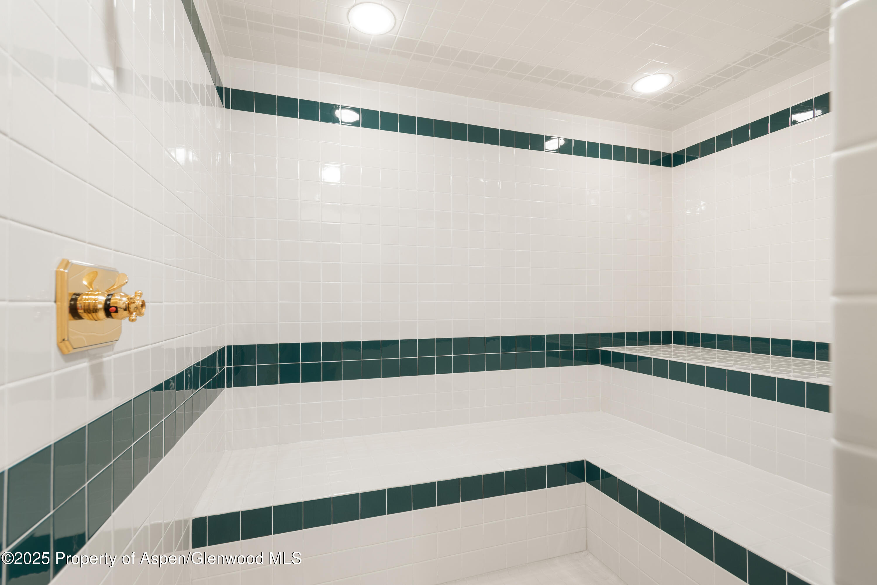 1650 Mclain Flats Road Aspen CO 81611