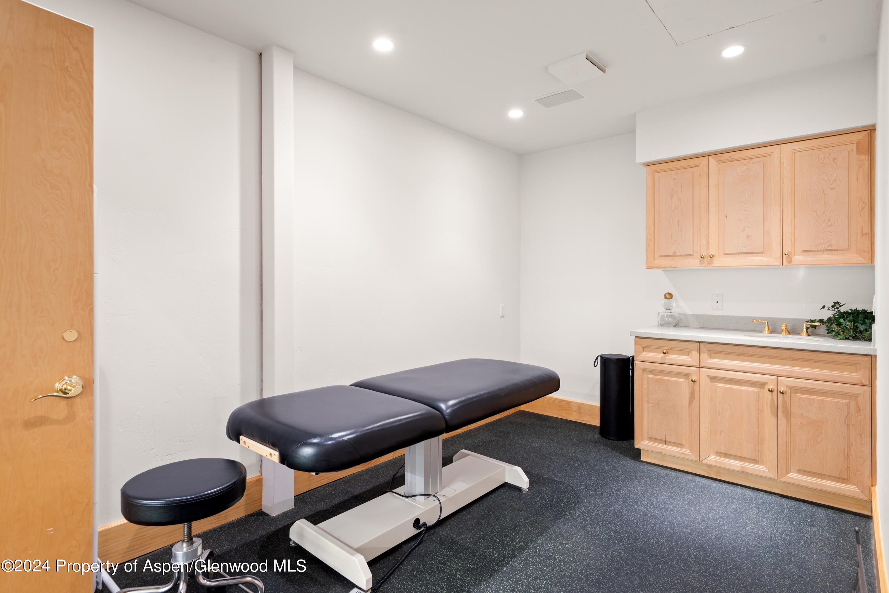 1650 Mclain Flats Road Aspen CO 81611