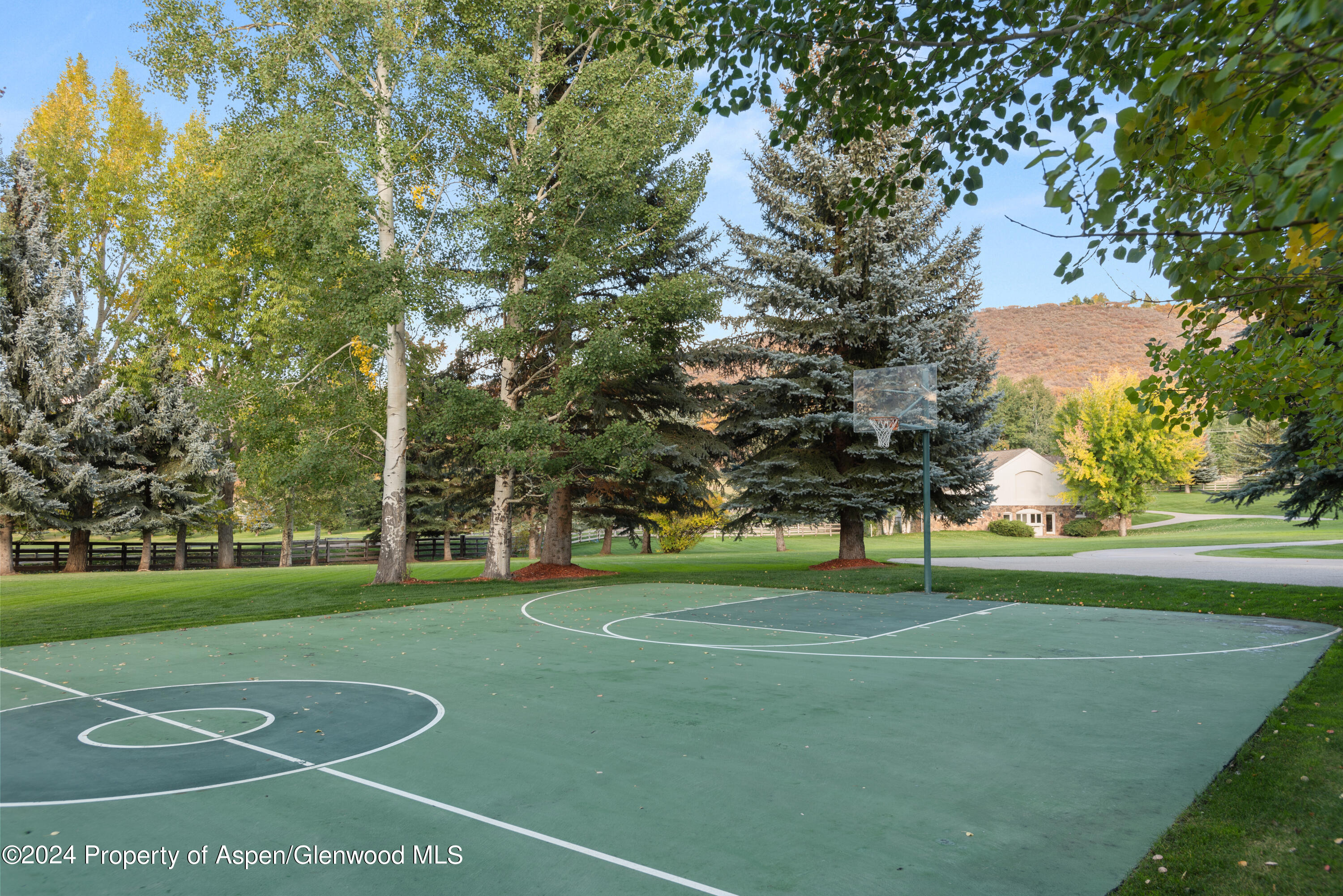 1650 Mclain Flats Road Aspen CO 81611