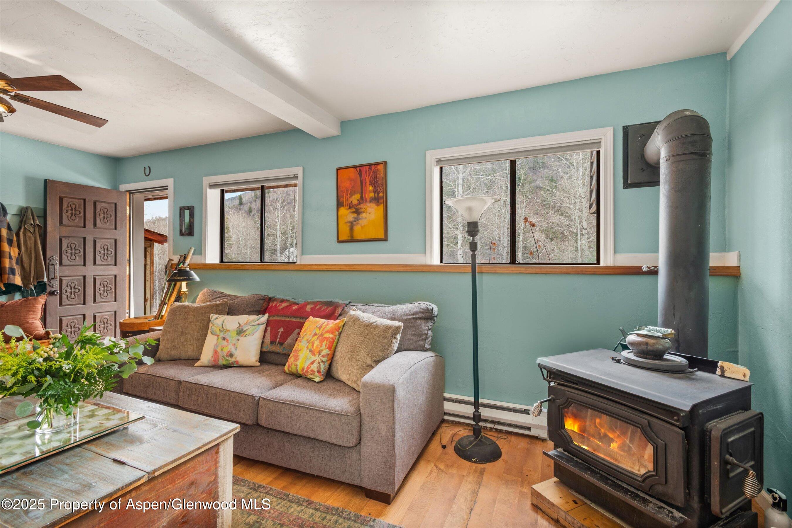 131 Aspen Street Redstone CO 81623