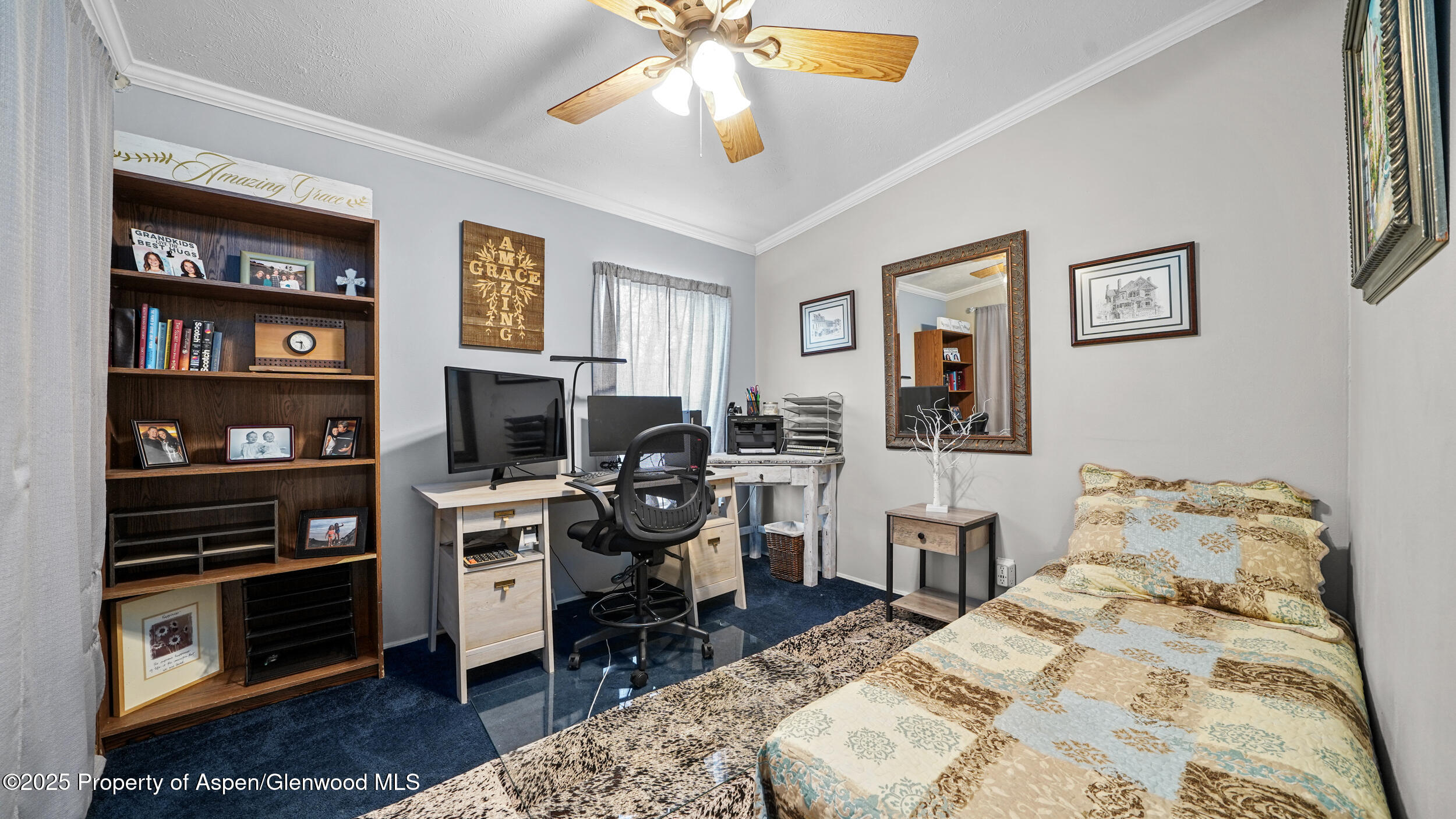 161 S Golden Drive Silt CO 81652