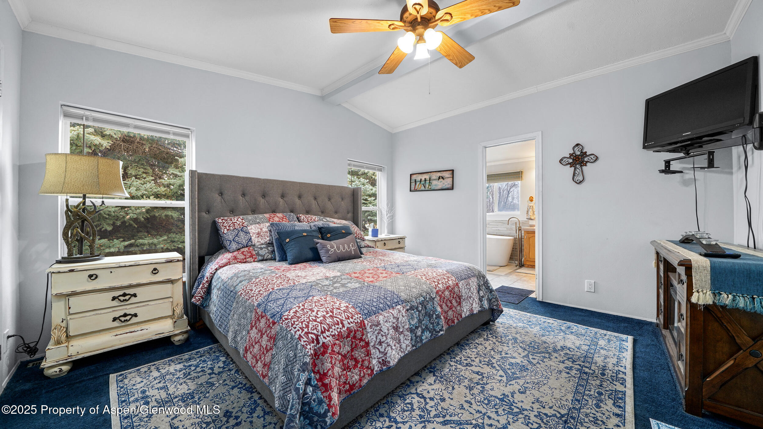 161 S Golden Drive Silt CO 81652