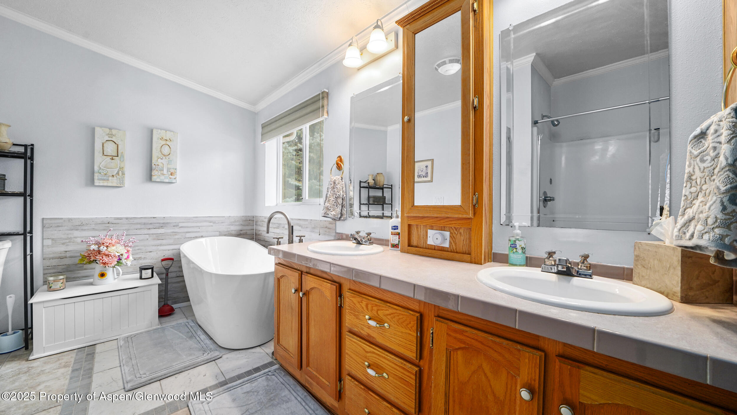 161 S Golden Drive Silt CO 81652