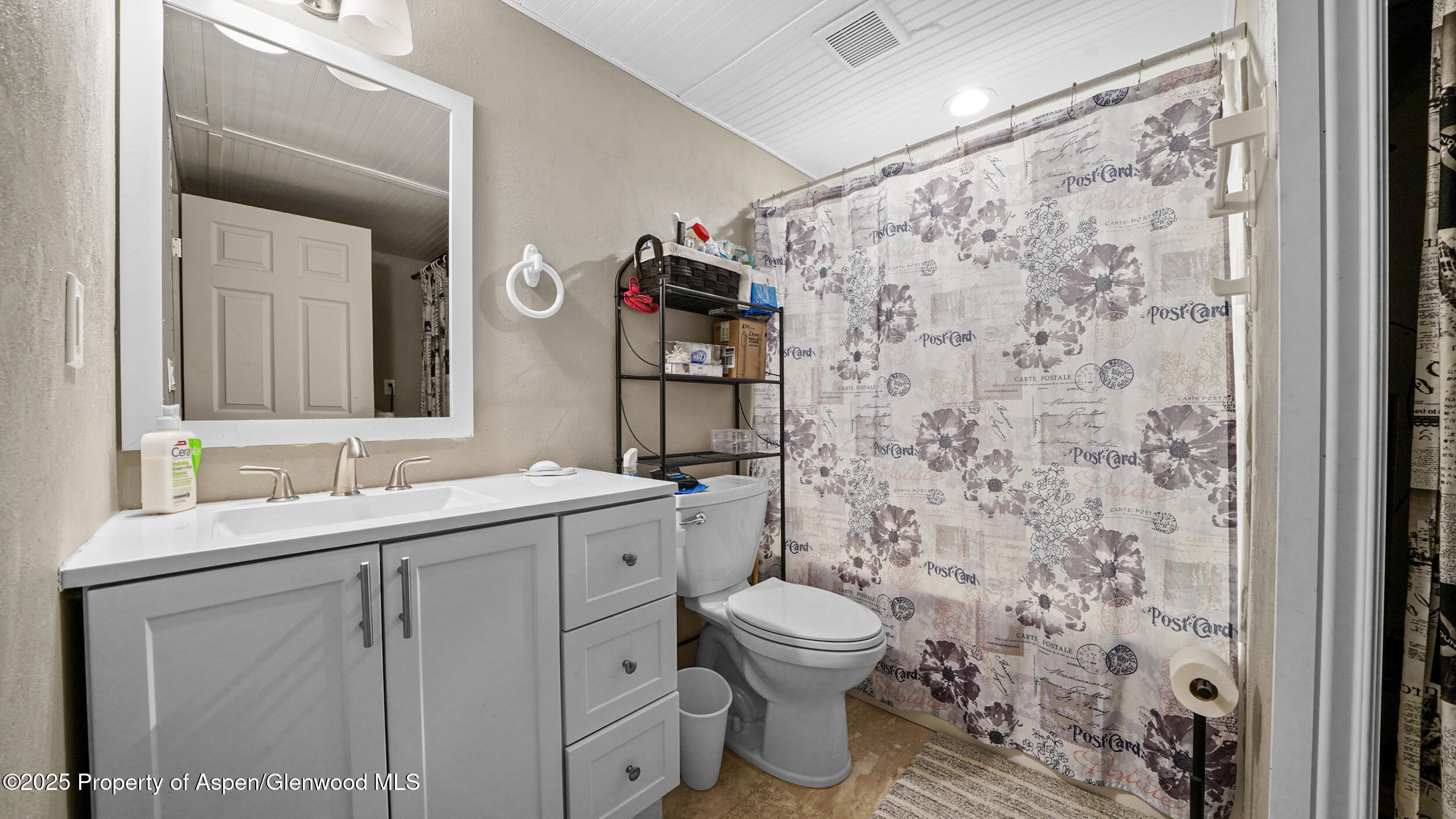 161 S Golden Drive Silt CO 81652