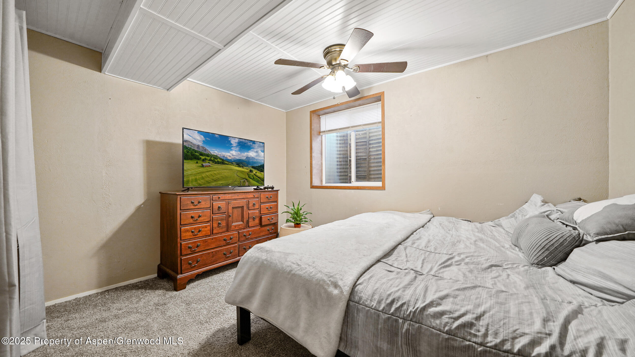 161 S Golden Drive Silt CO 81652