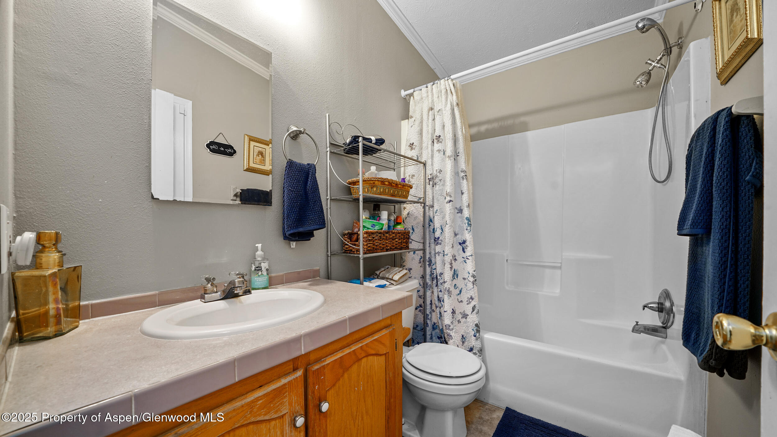 161 S Golden Drive Silt CO 81652