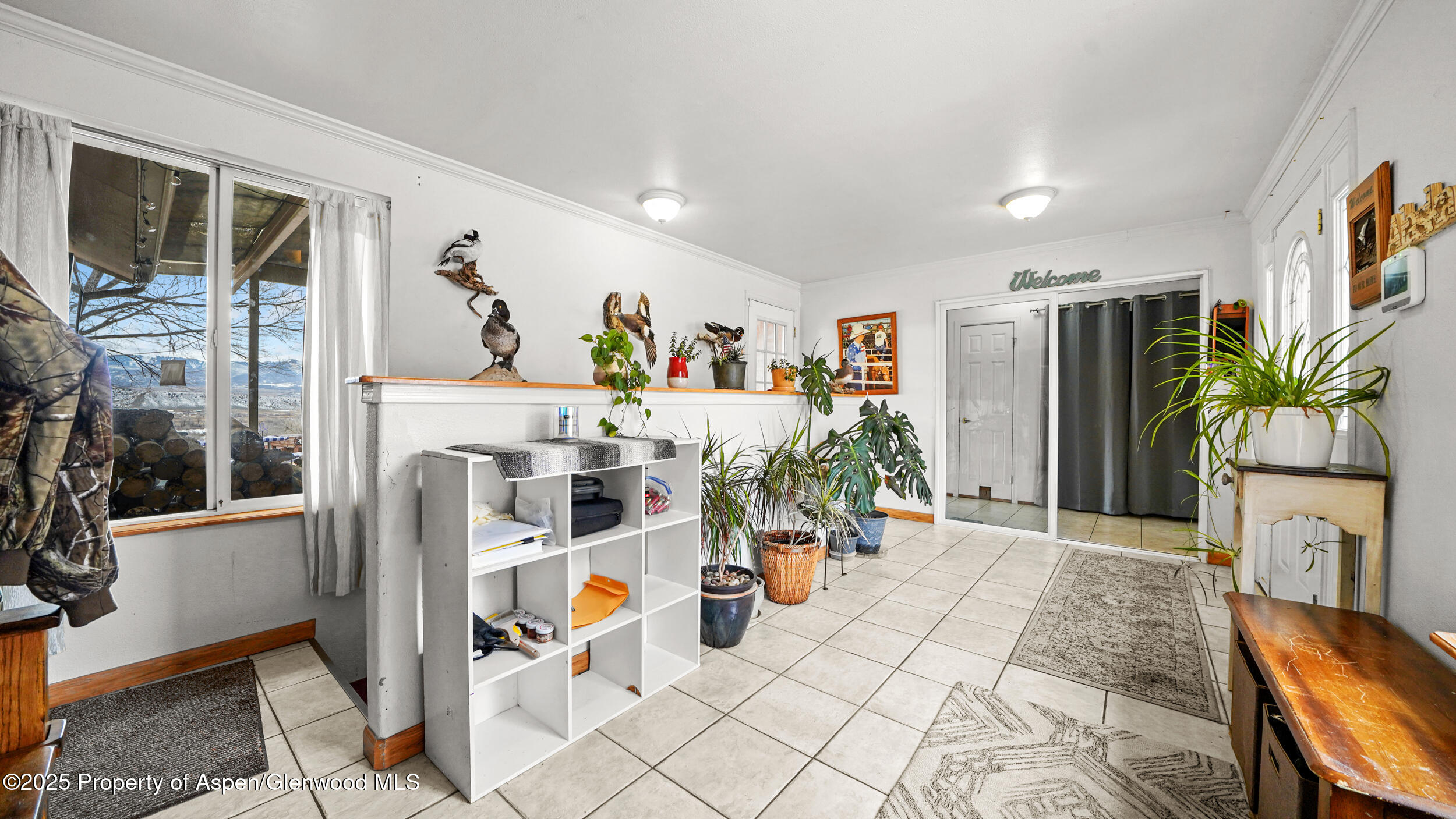 161 S Golden Drive Silt CO 81652