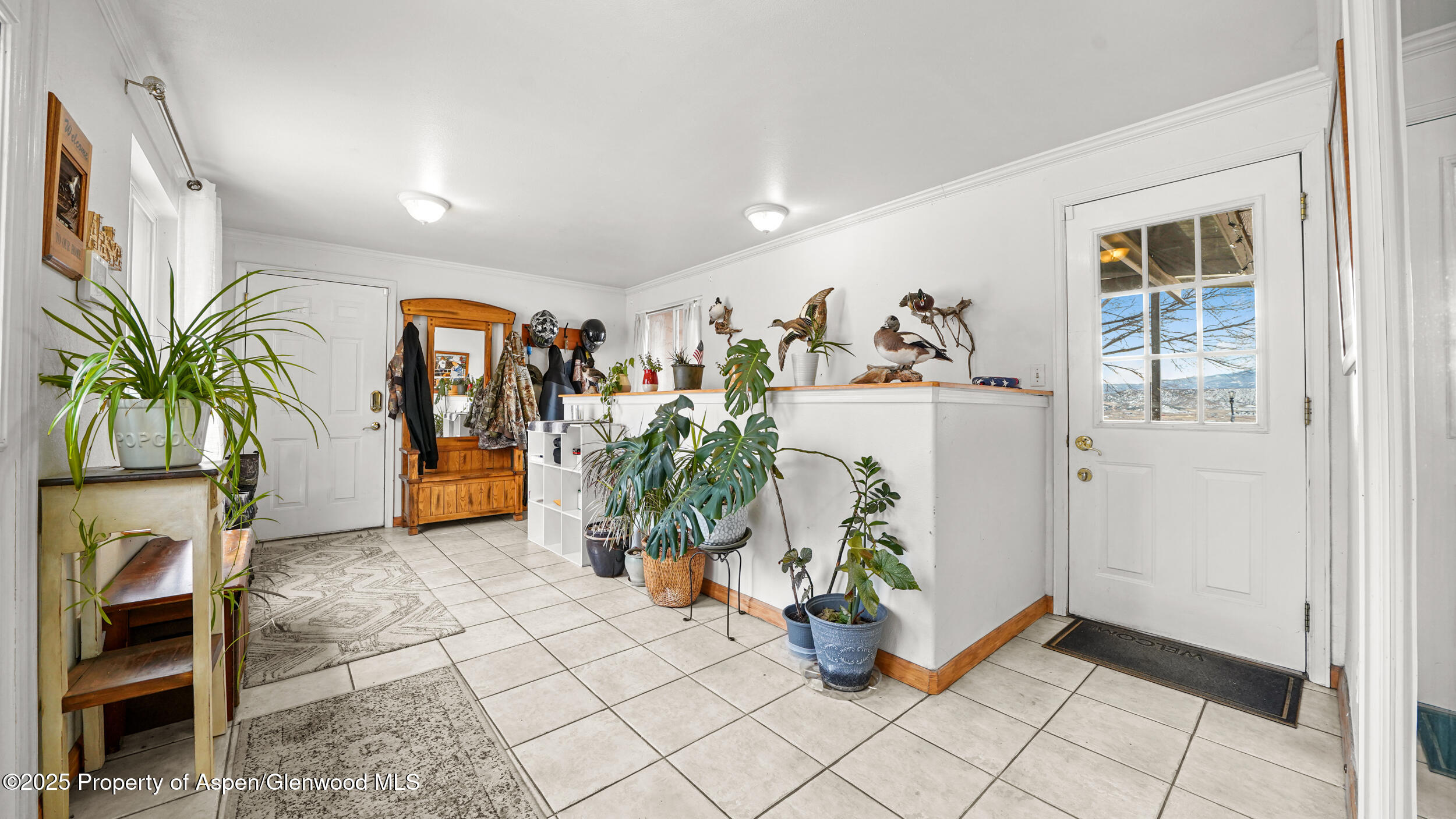 161 S Golden Drive Silt CO 81652