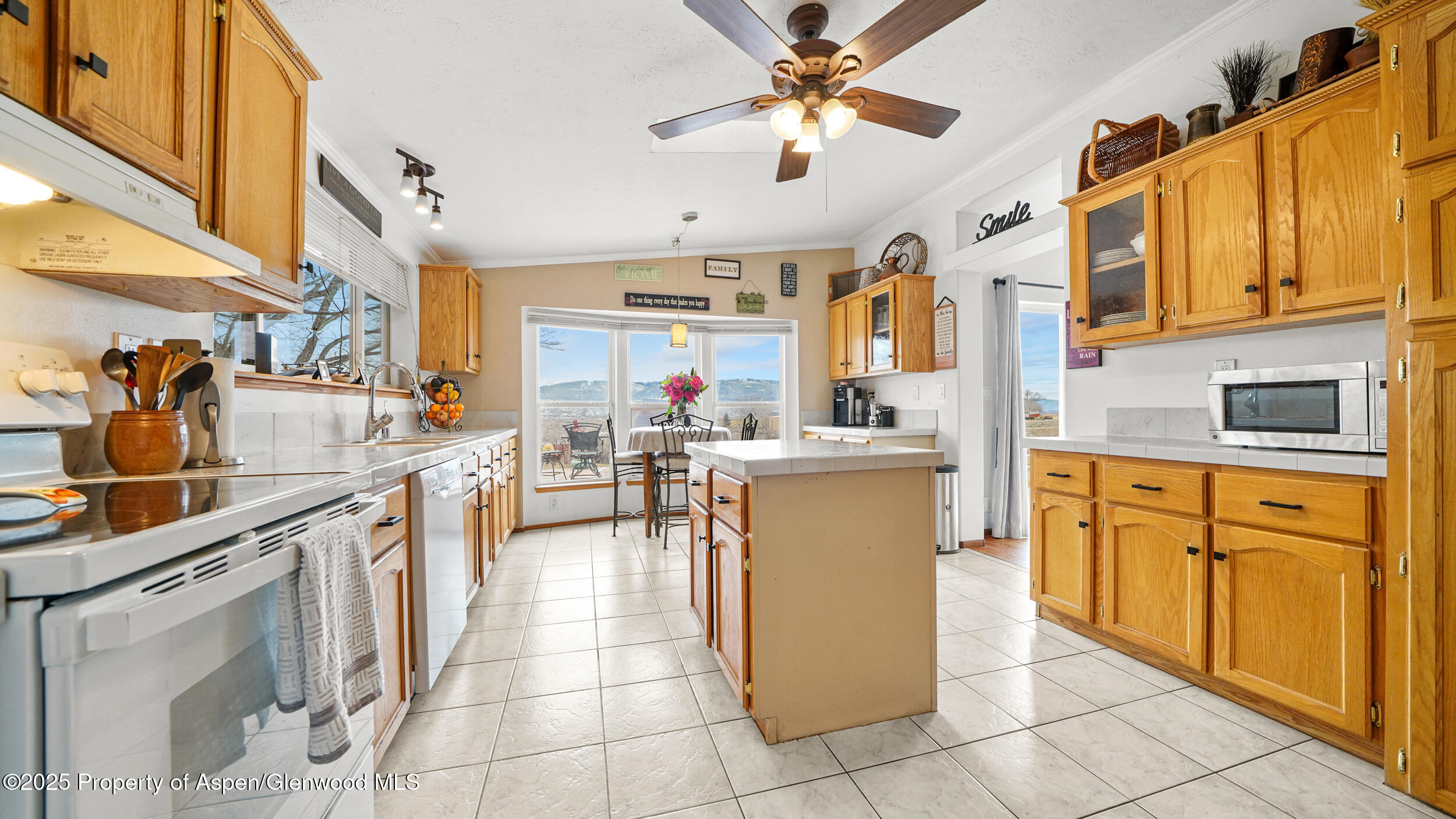 161 S Golden Drive Silt CO 81652