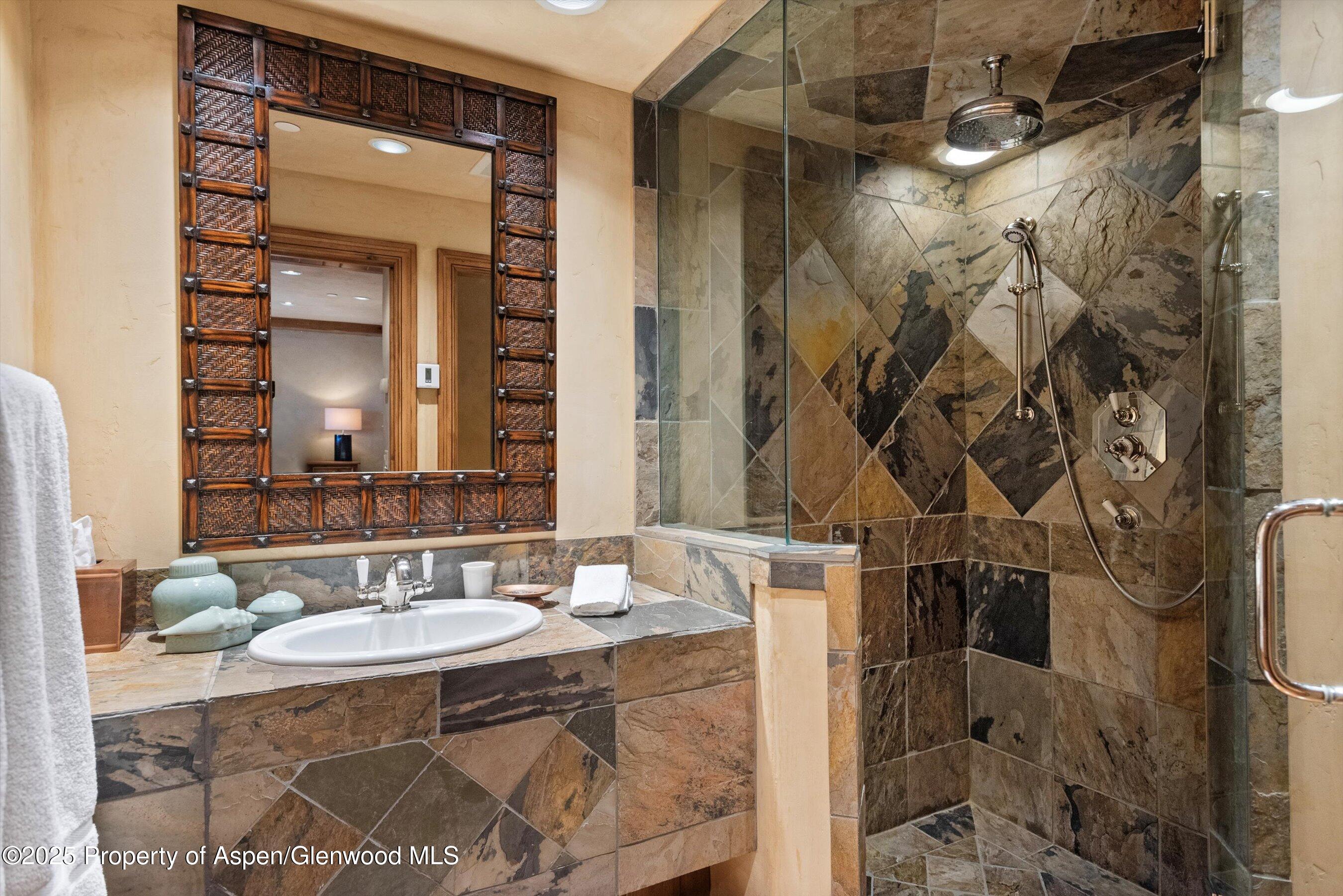 660 S Galena Street Aspen CO 81611