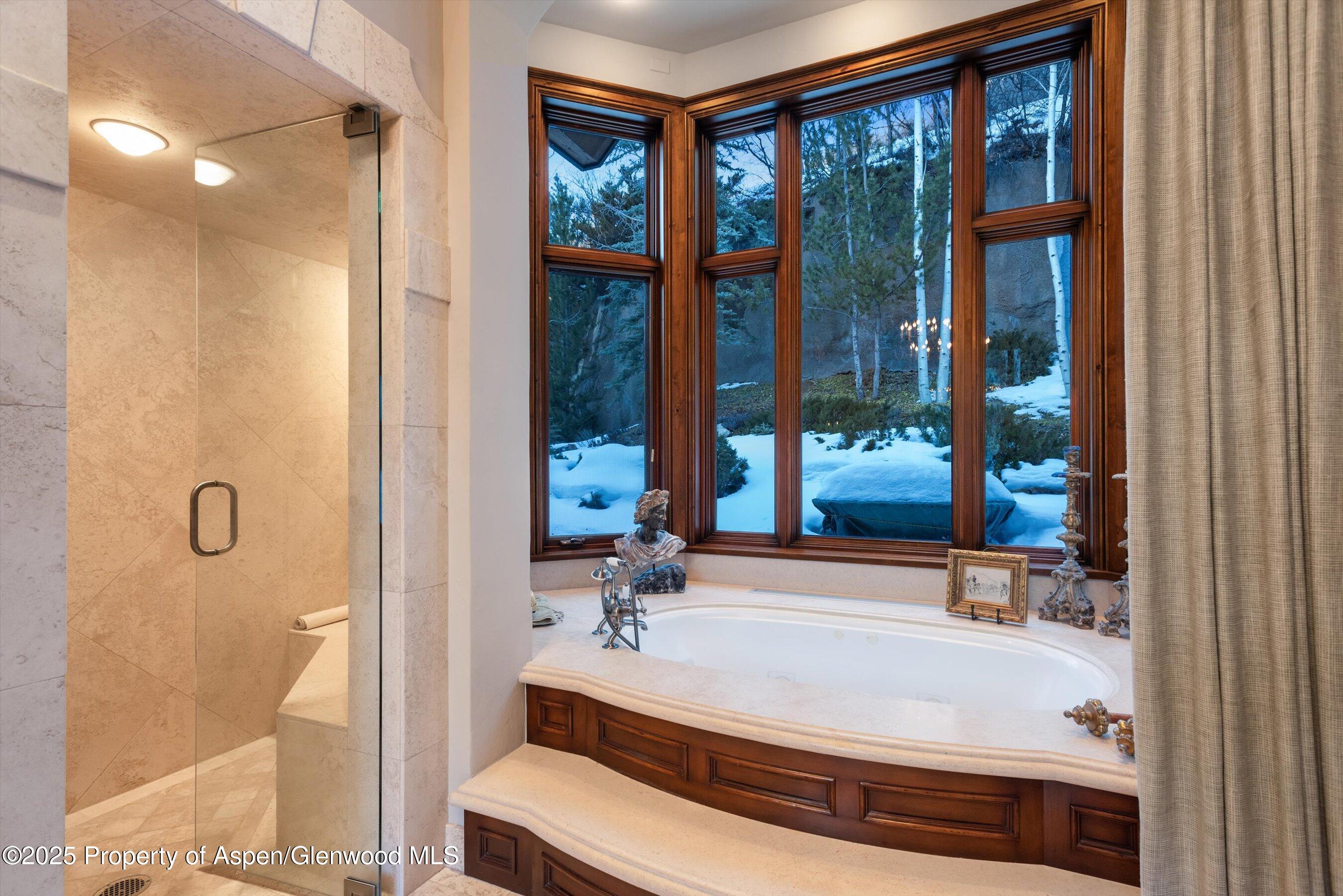 663 Mountain Laurel Drive Aspen CO 81611