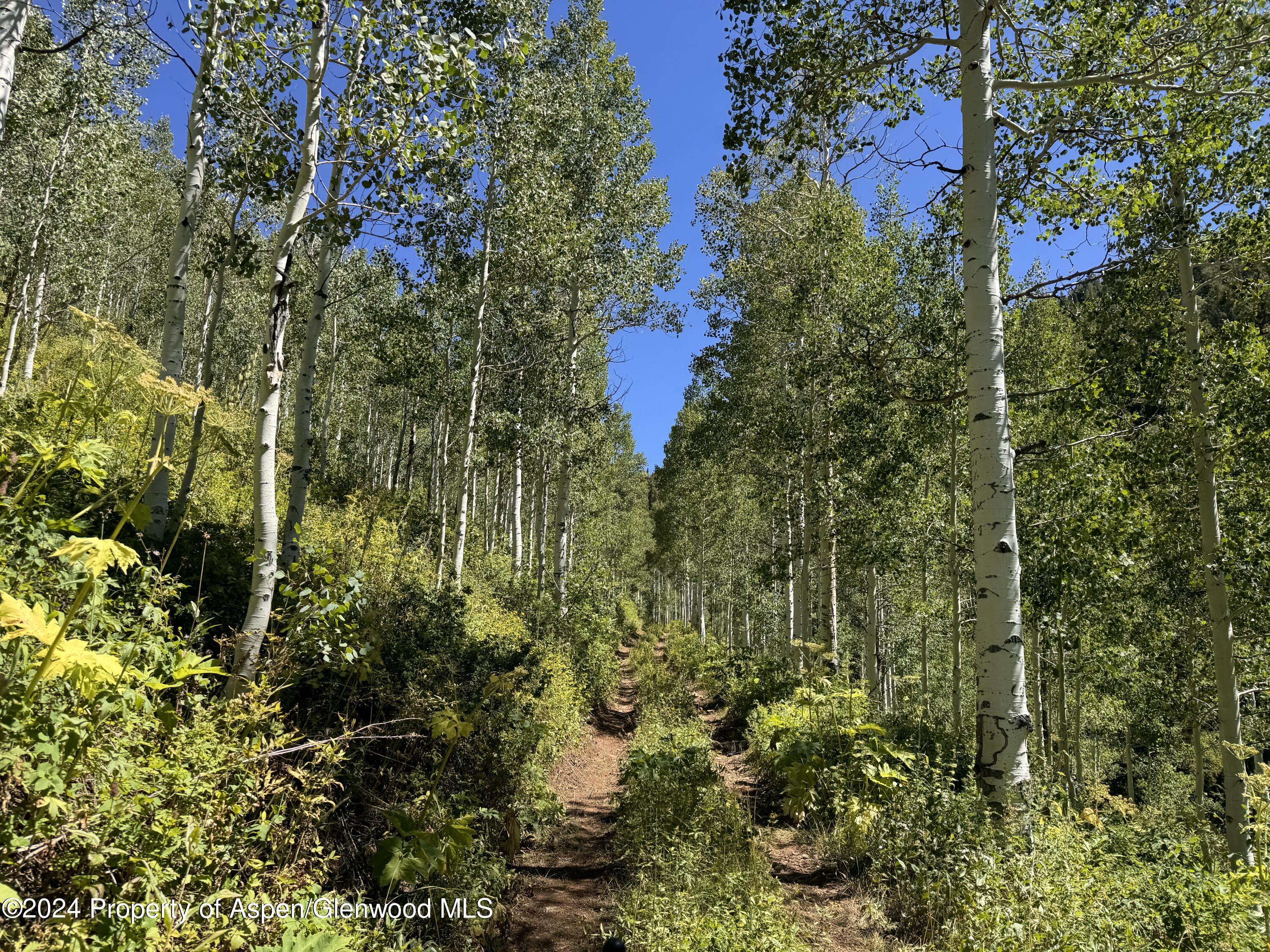 N/a F S 602 Road Glenwood Springs CO 81601