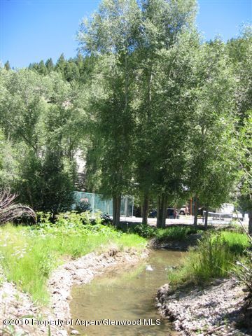 1313 Margo Lane Lake City CO 81235