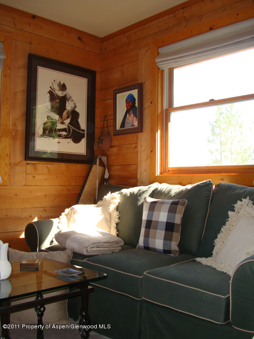 1313 Margo Lane Lake City CO 81235