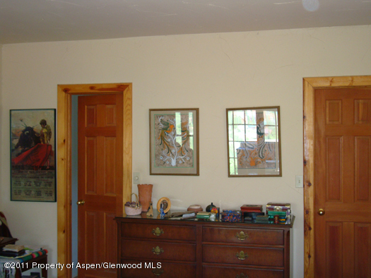 1313 Margo Lane Lake City CO 81235