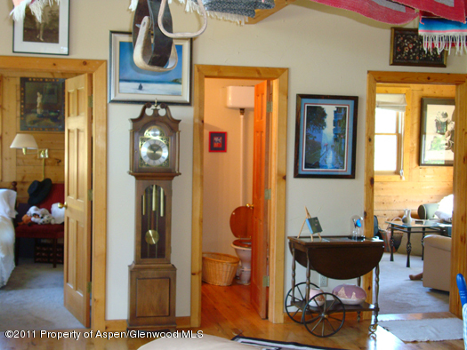 1313 Margo Lane Lake City CO 81235
