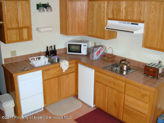 1313 Margo Lane Lake City CO 81235