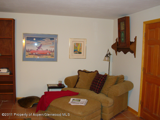1313 Margo Lane Lake City CO 81235
