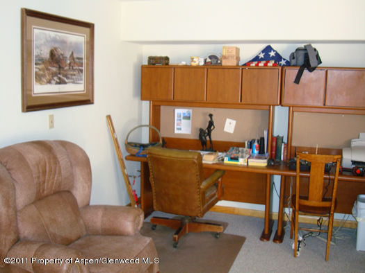 1313 Margo Lane Lake City CO 81235