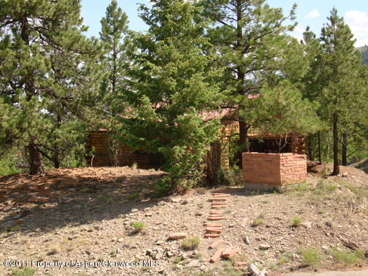 1313 Margo Lane Lake City CO 81235