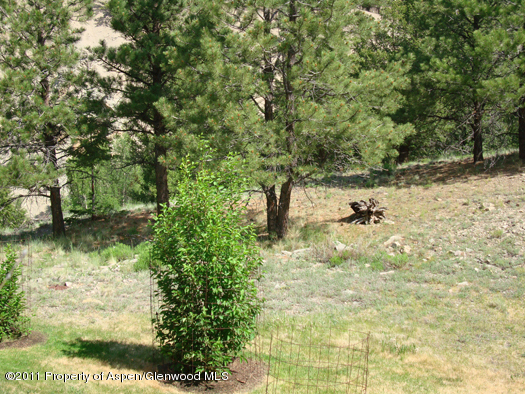 1313 Margo Lane Lake City CO 81235