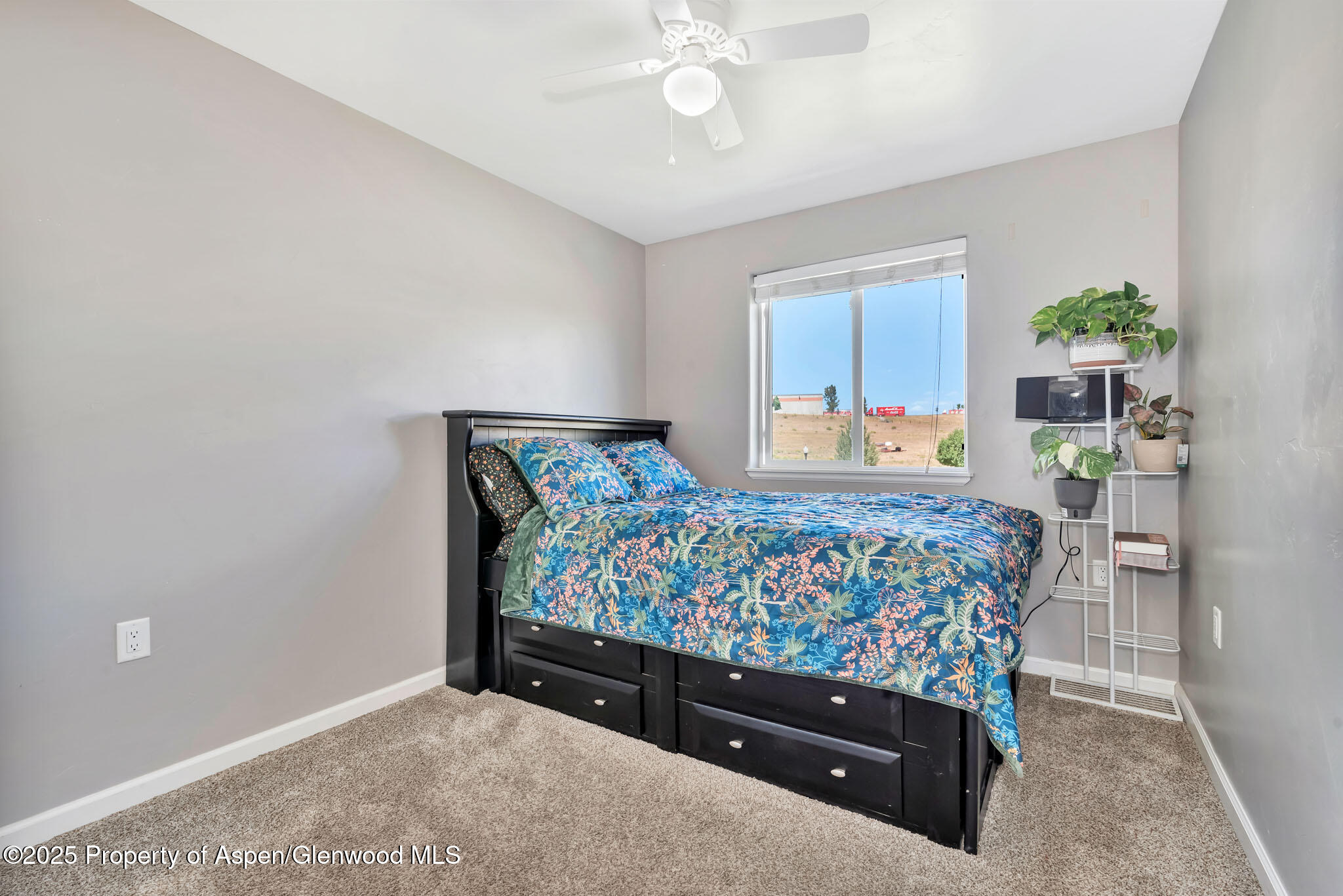 875 Dry Creek South Road Hayden CO 81639