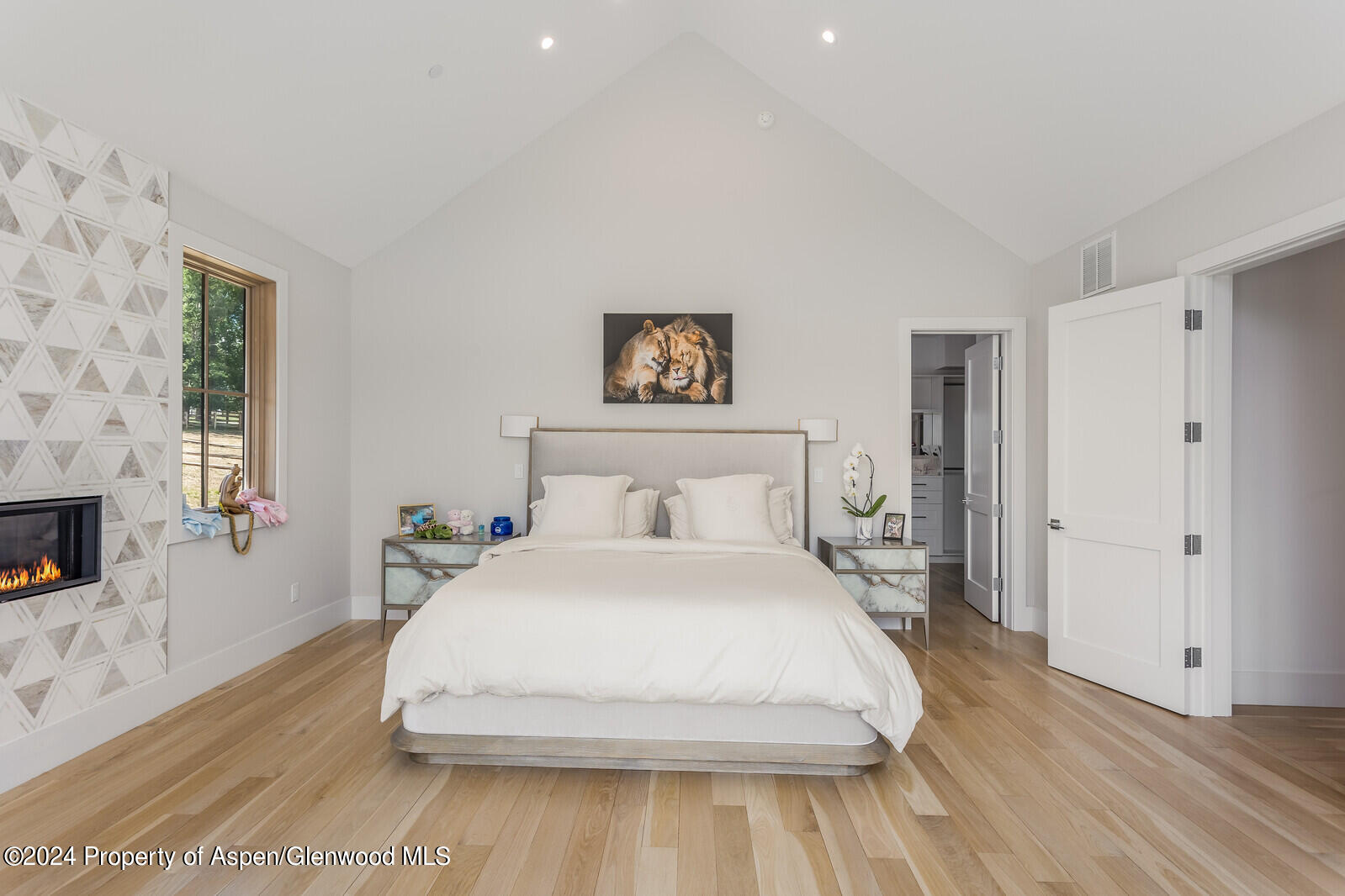 577 Fox Run Drive Carbondale CO 81623