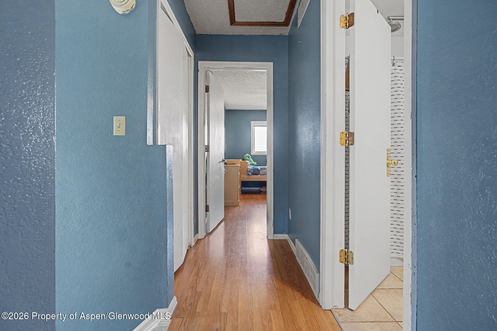 460 Wild Rose Lane Parachute CO 81635