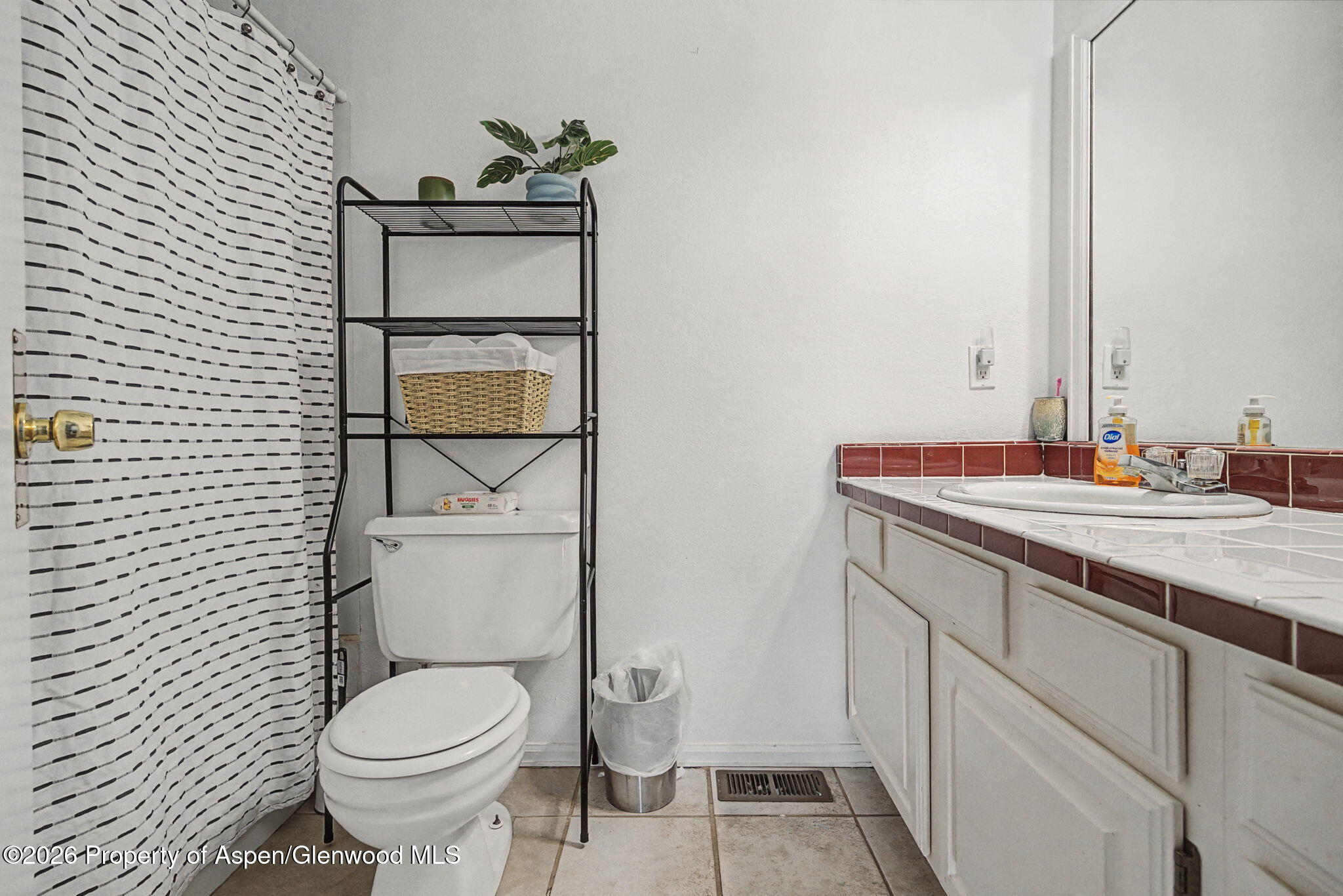 460 Wild Rose Lane Parachute CO 81635