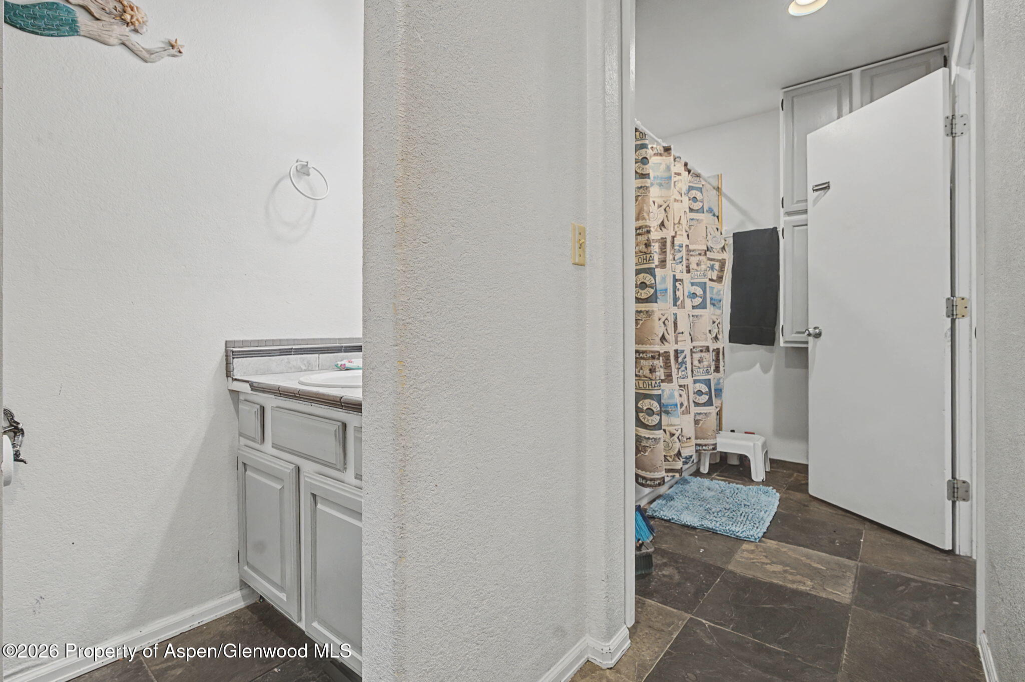 460 Wild Rose Lane Parachute CO 81635