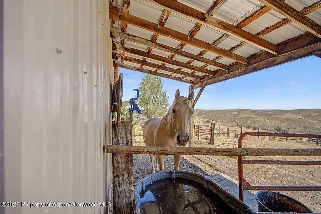 620 Ponderosa Pass Craig CO 81625