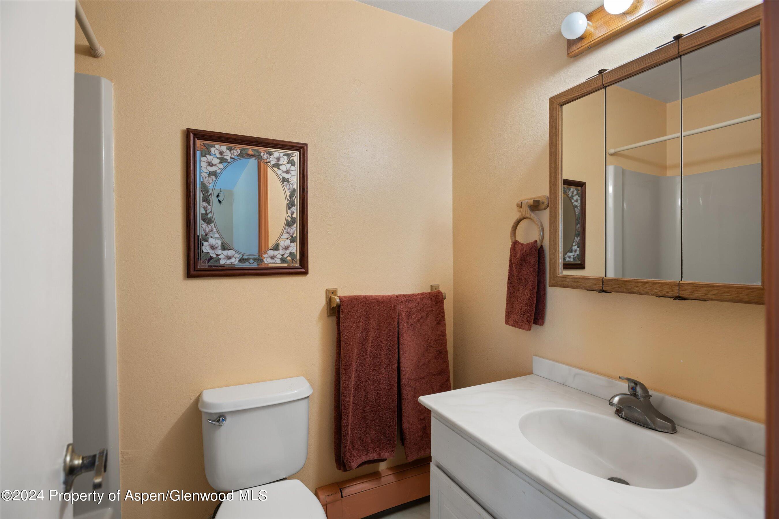 1112 Parkwood Lane Glenwood Springs CO 81601