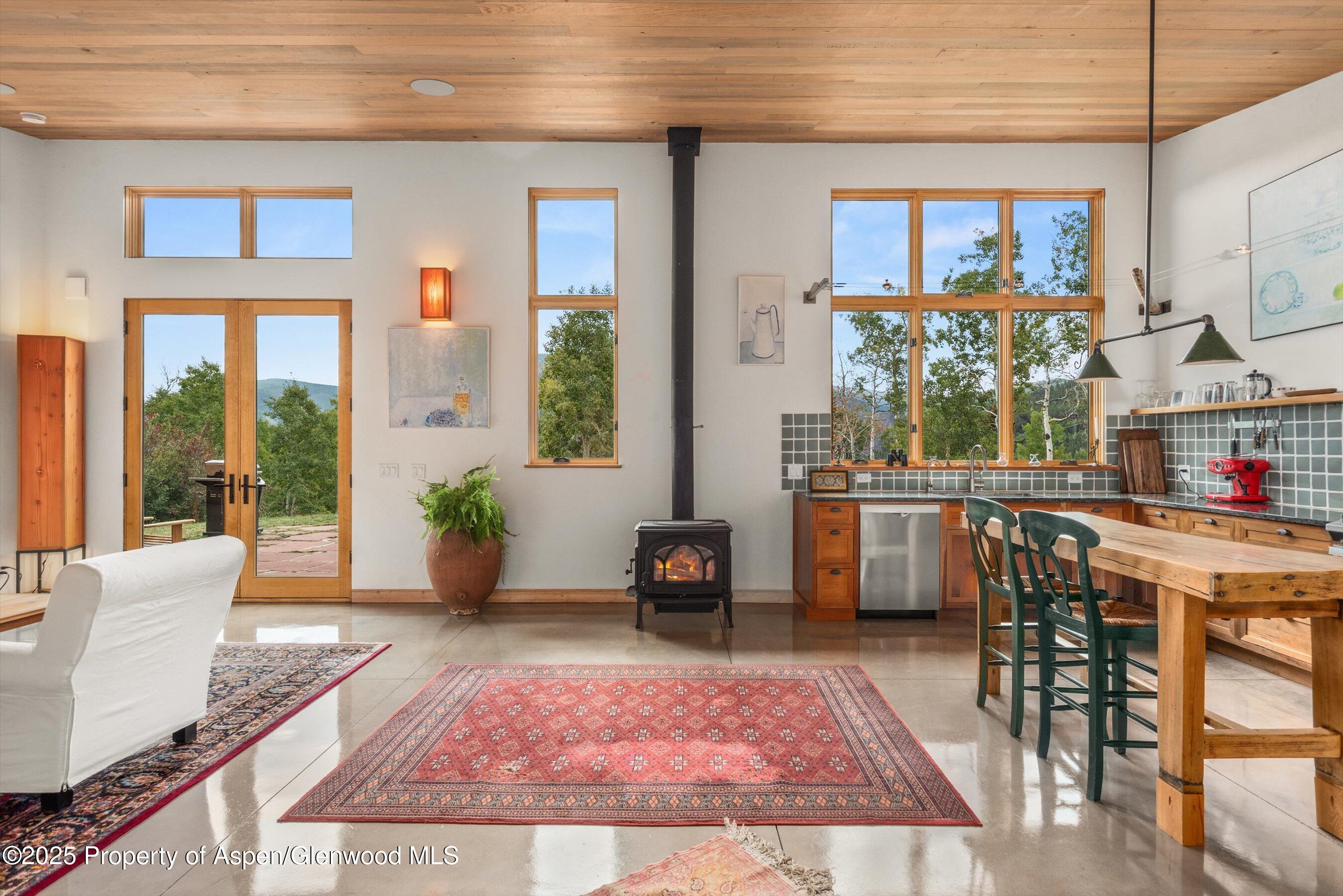 320 Hawk Lane Basalt CO 81621