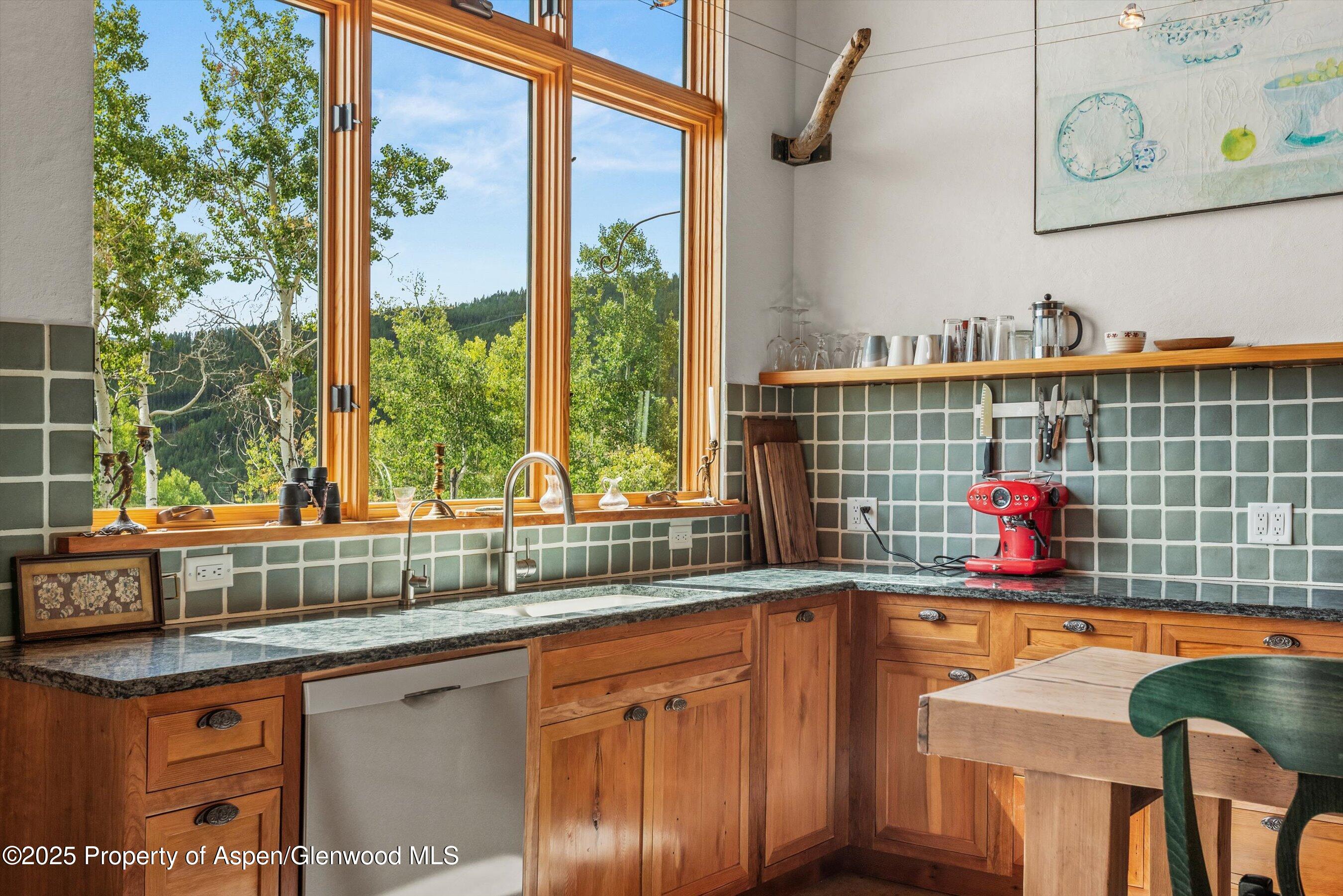 320 Hawk Lane Basalt CO 81621