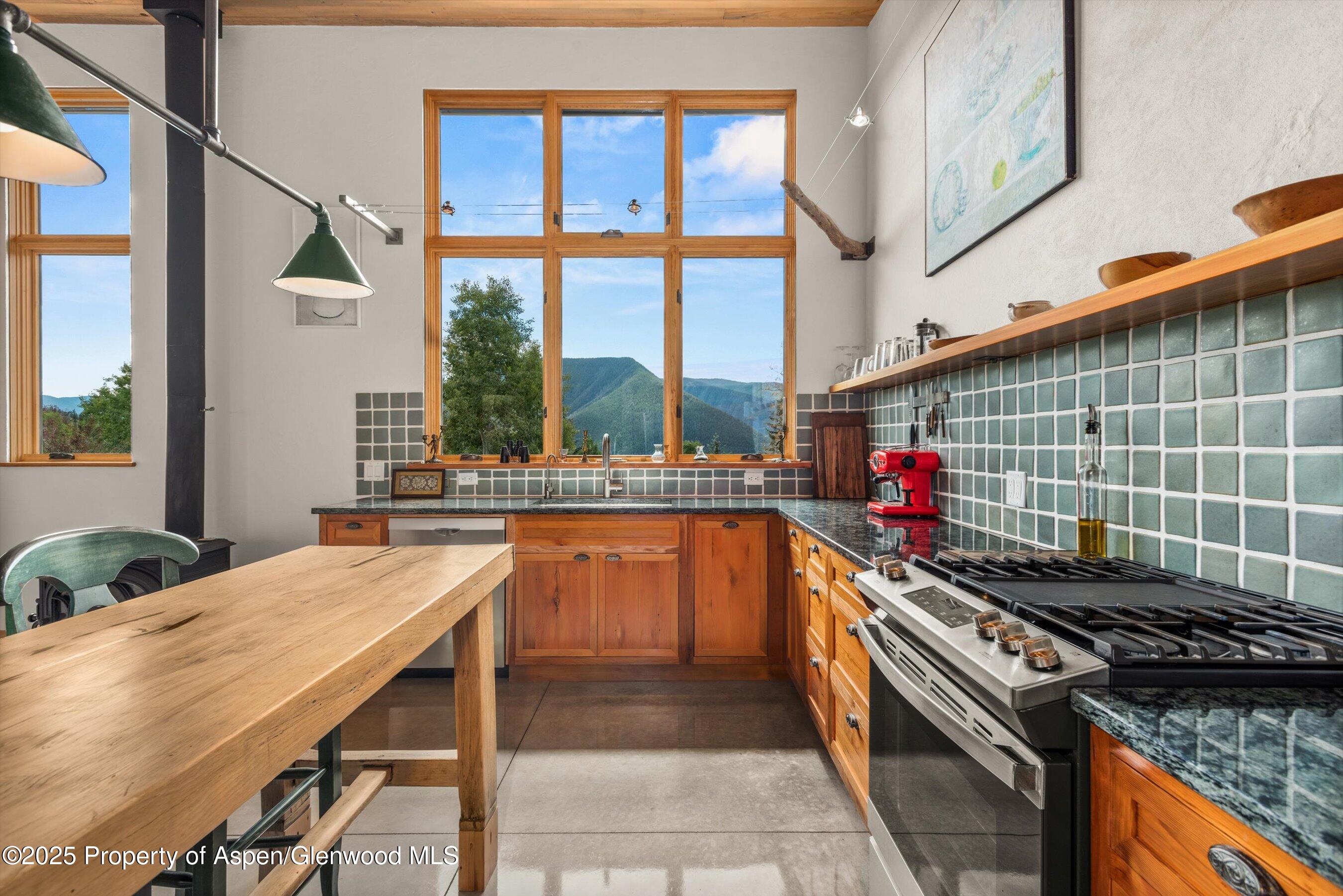 320 Hawk Lane Basalt CO 81621