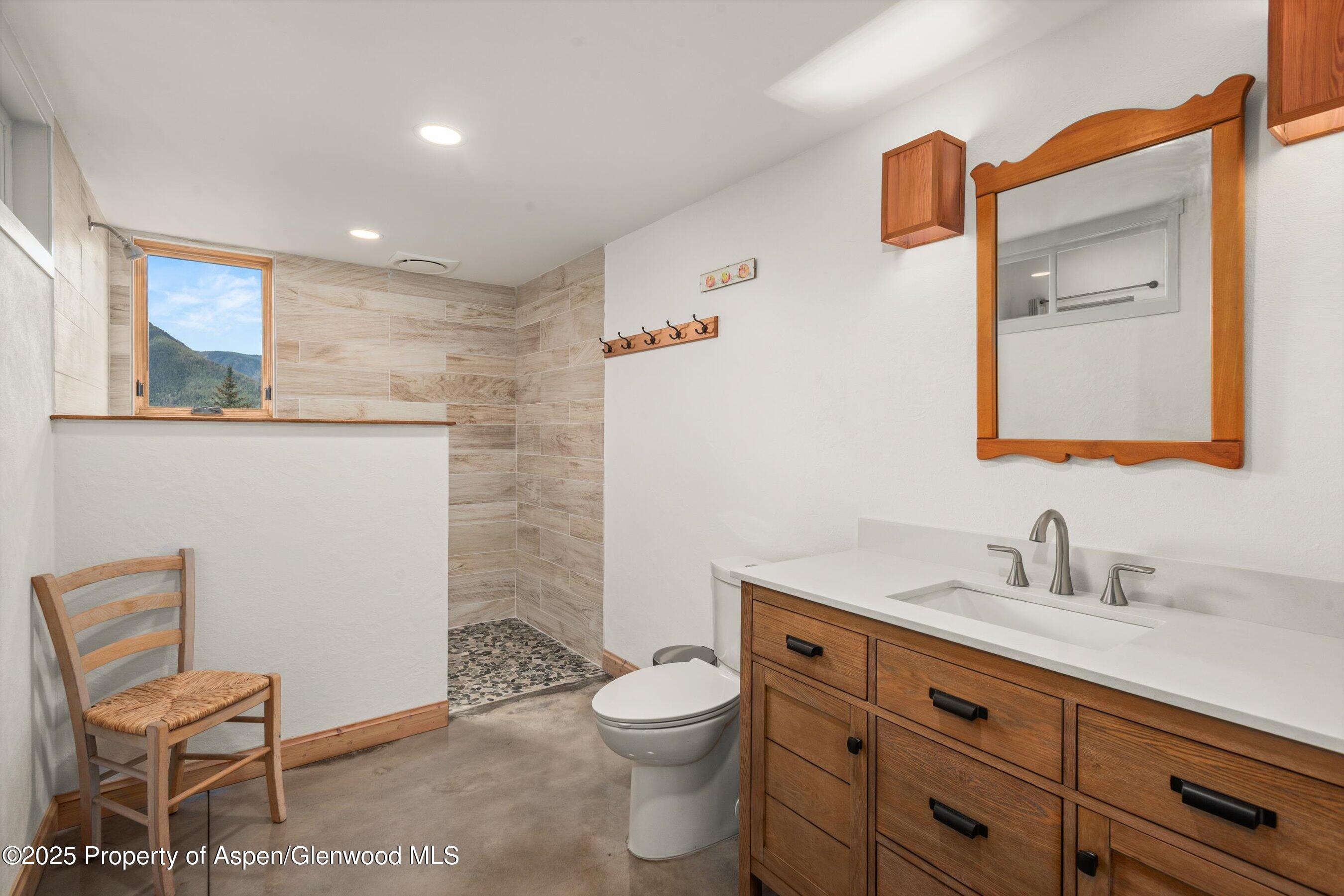 320 Hawk Lane Basalt CO 81621