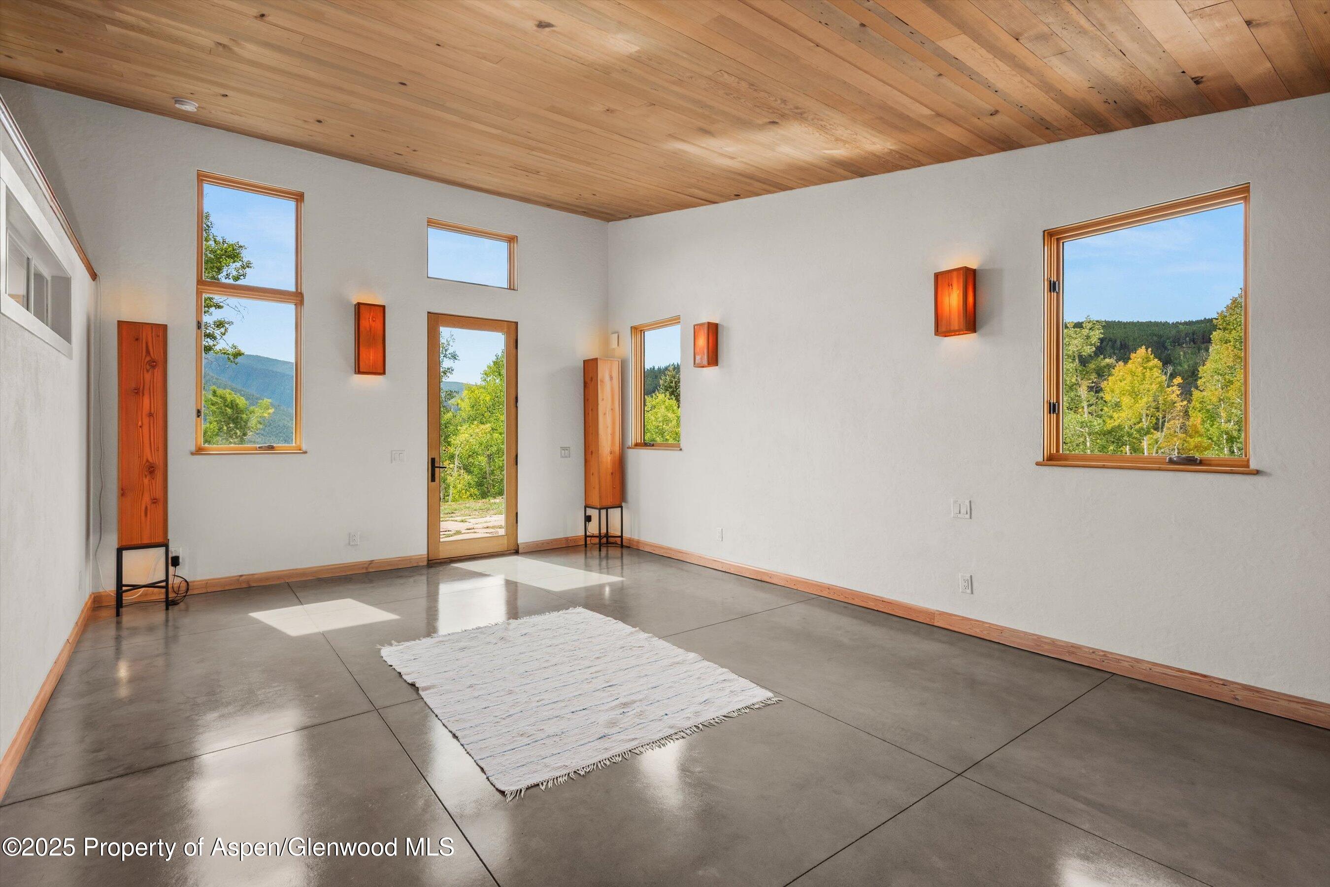 320 Hawk Lane Basalt CO 81621
