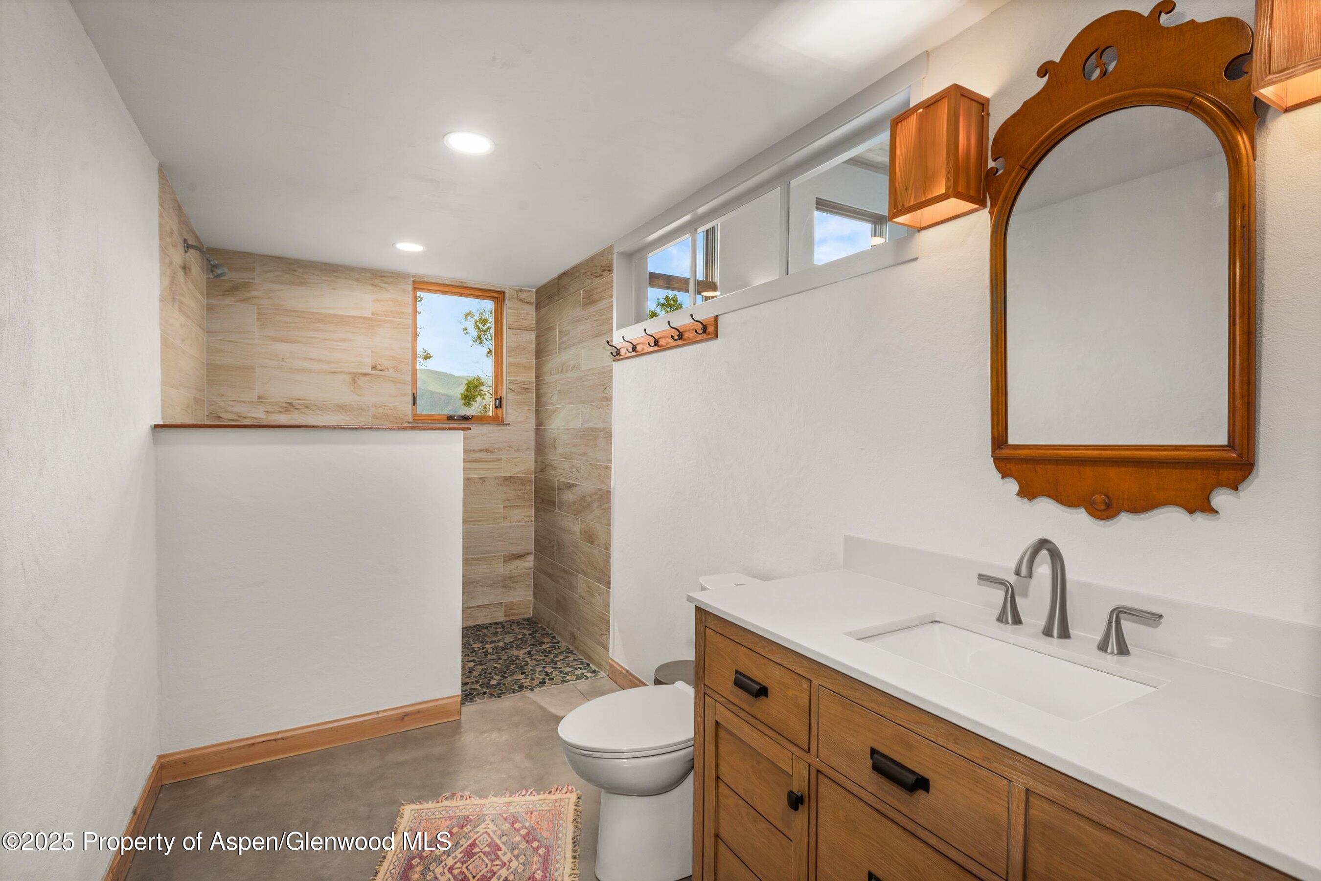 320 Hawk Lane Basalt CO 81621