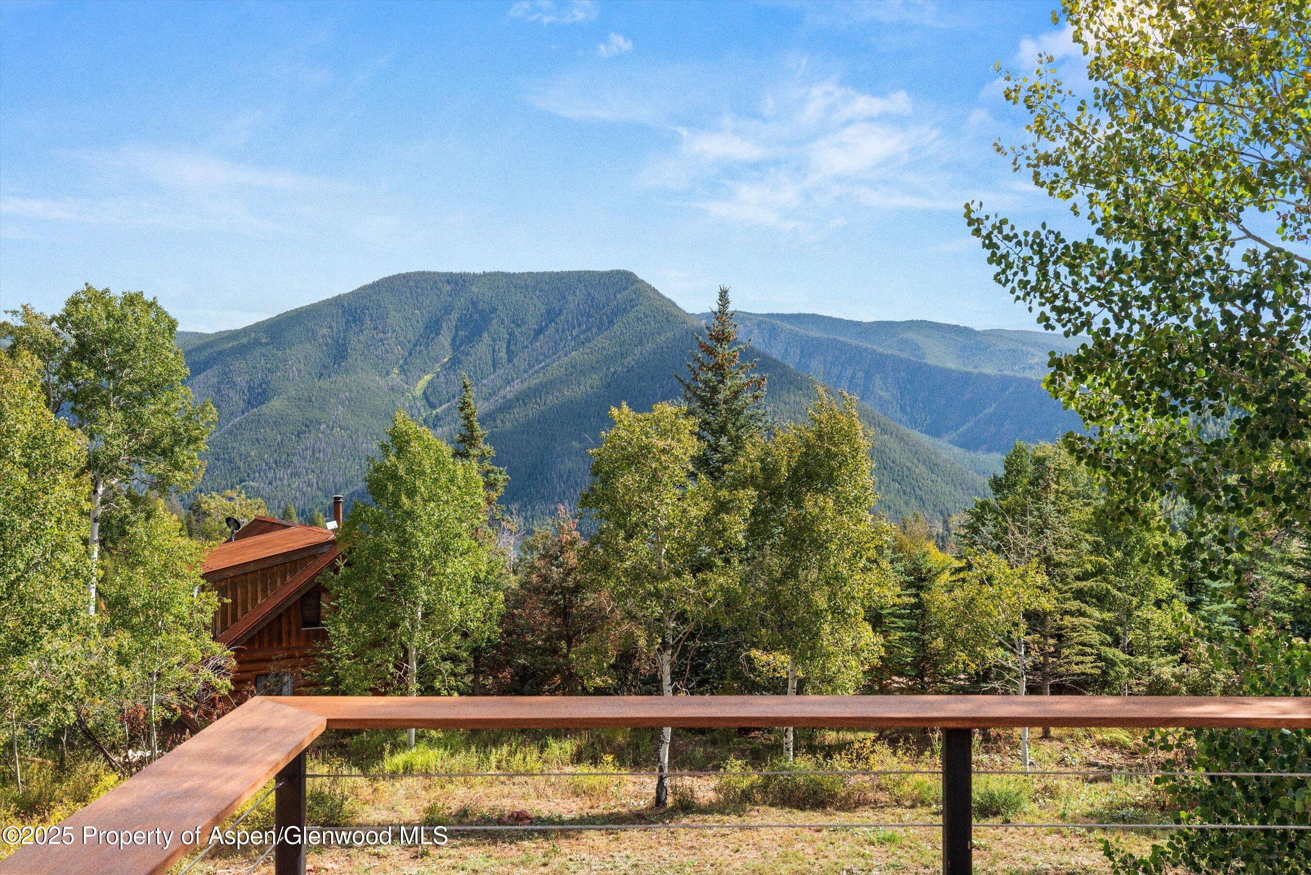 320 Hawk Lane Basalt CO 81621