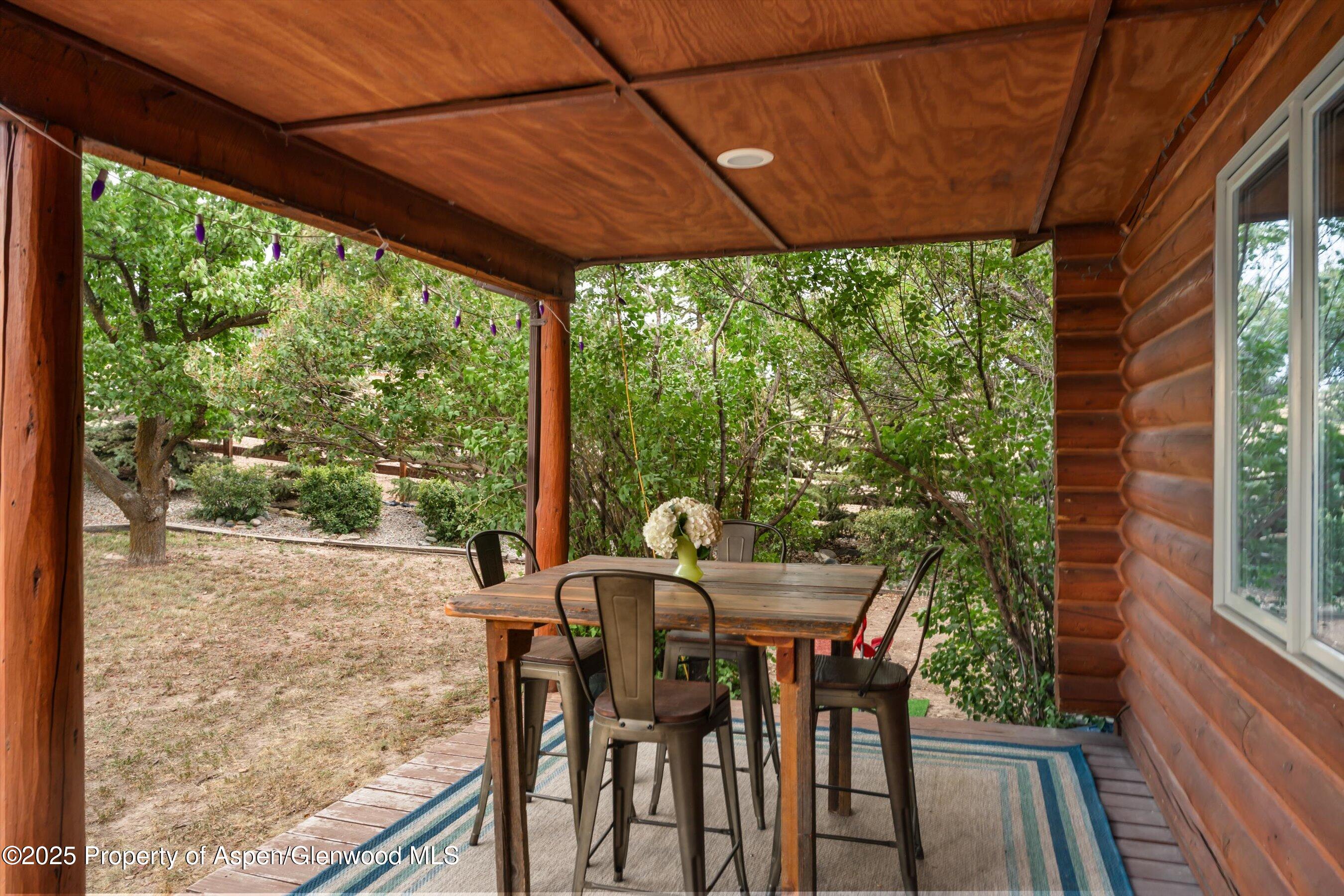 353 E Vista Drive Silt CO 81652