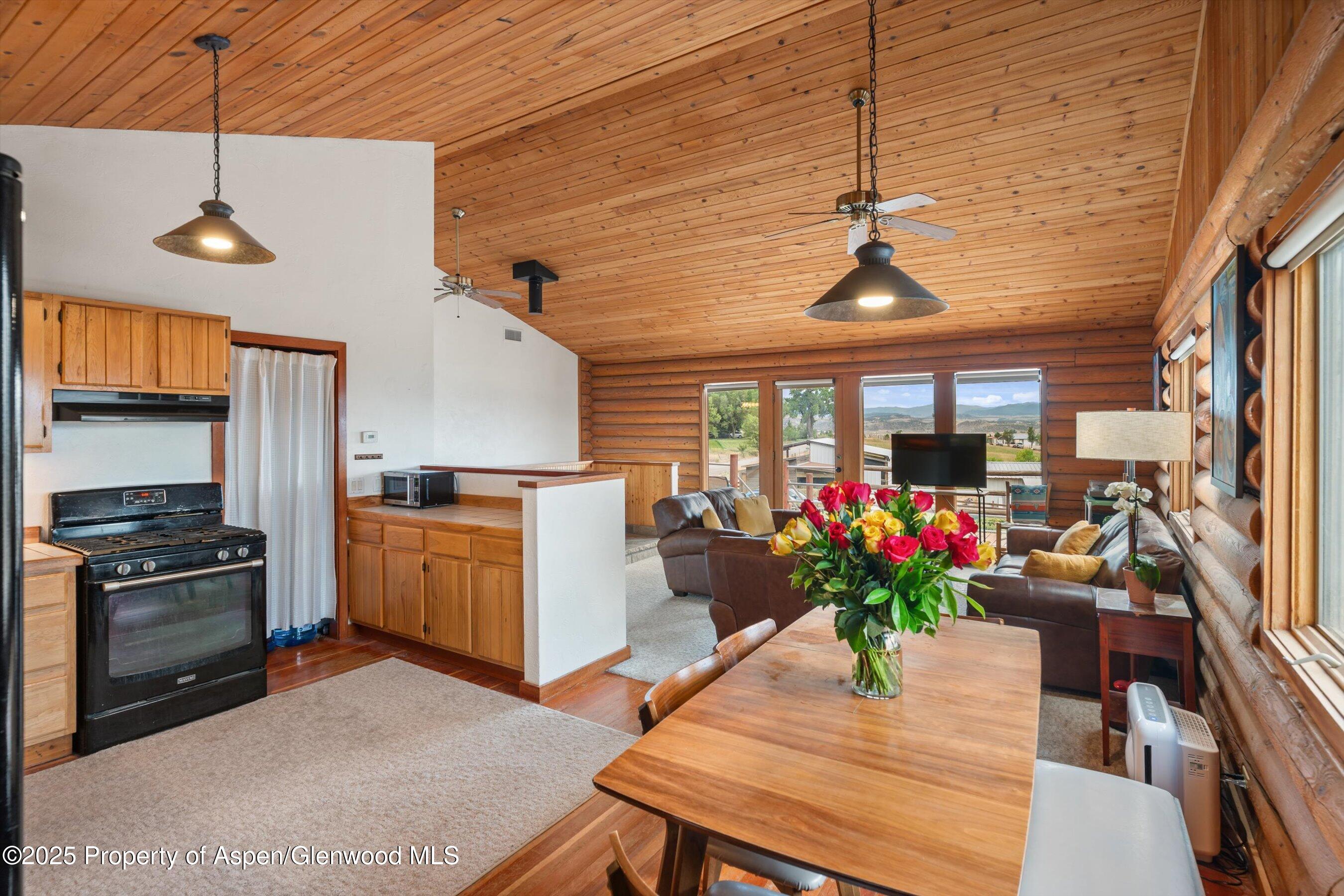 353 E Vista Drive Silt CO 81652