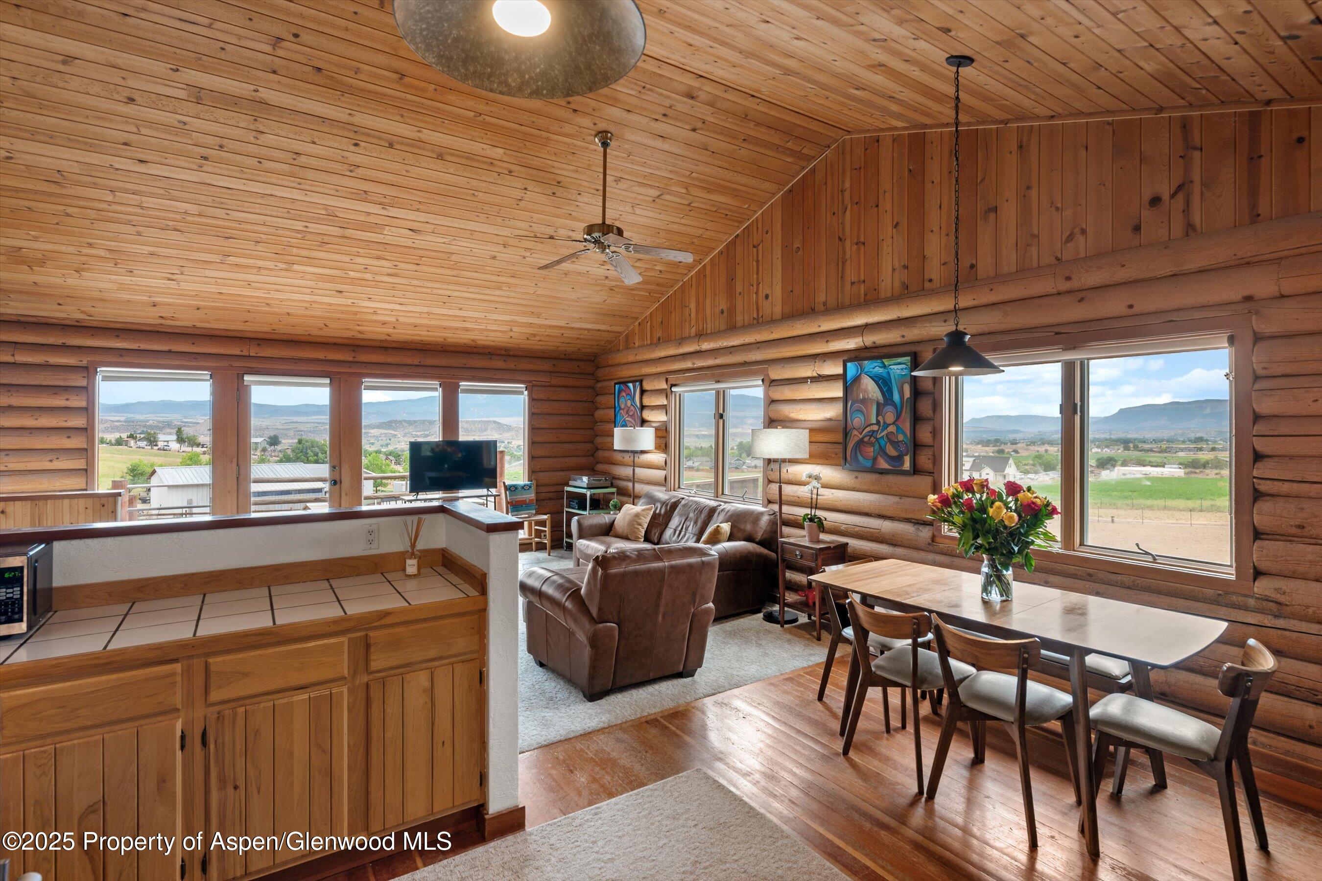 353 E Vista Drive Silt CO 81652