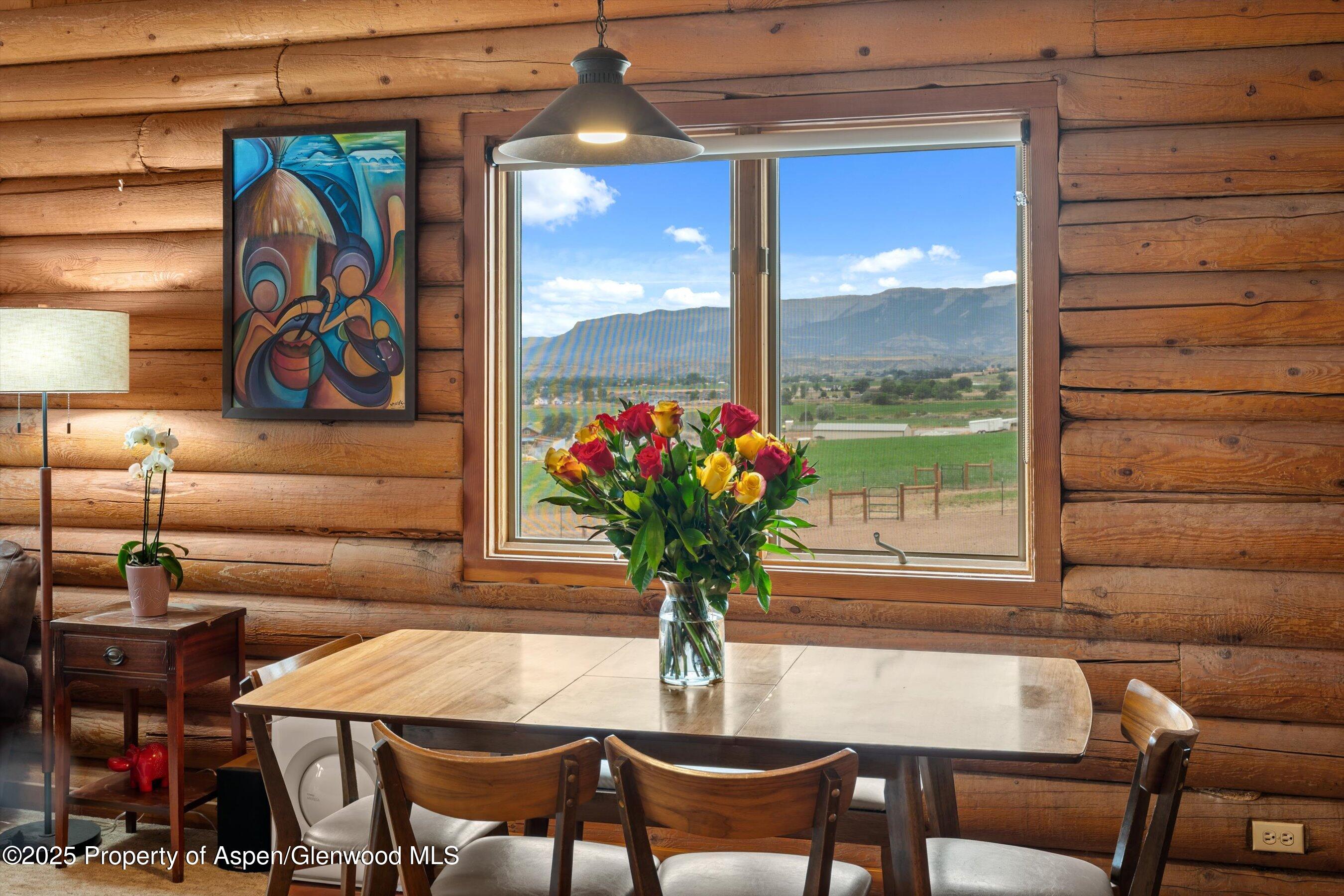 353 E Vista Drive Silt CO 81652