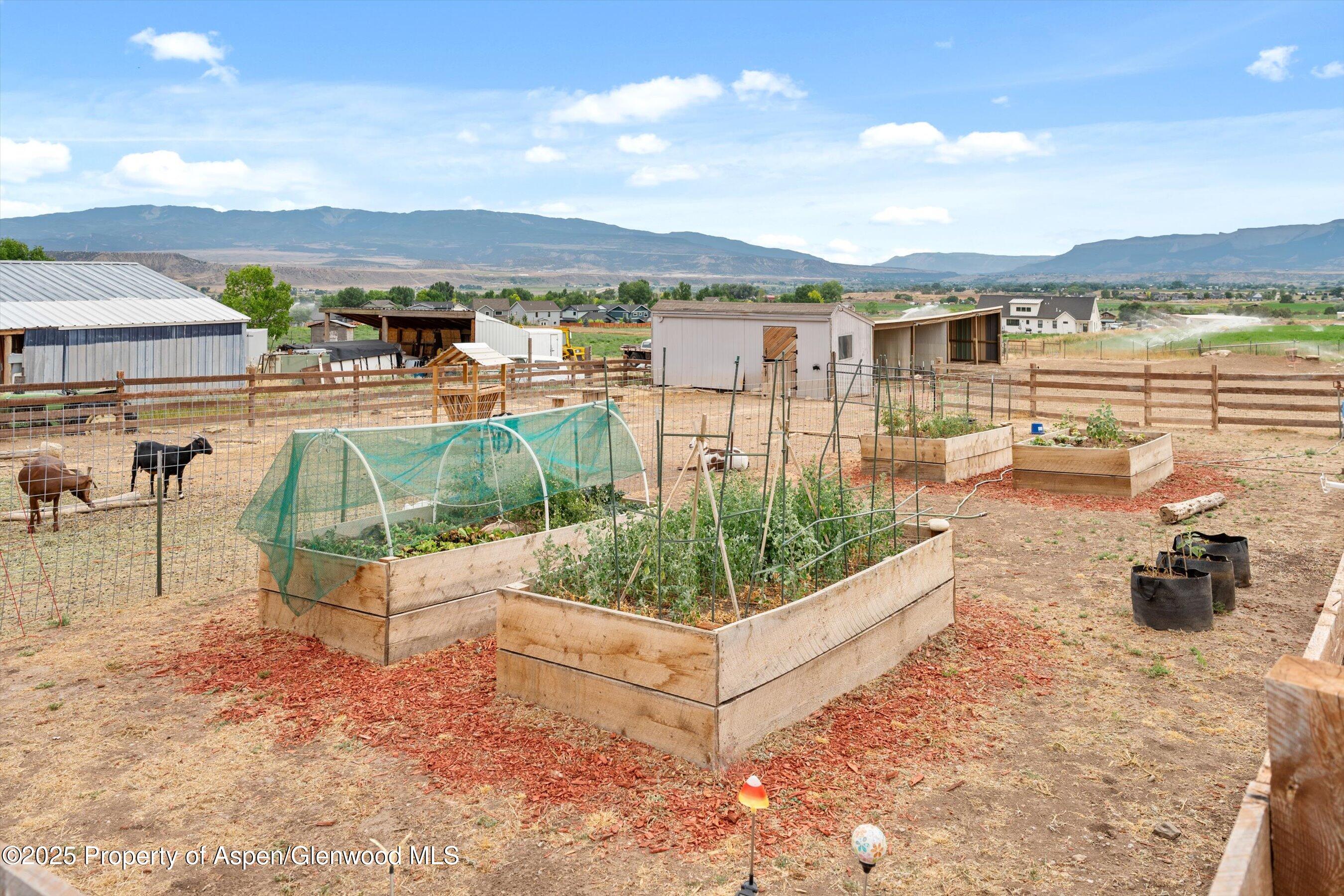 353 E Vista Drive Silt CO 81652