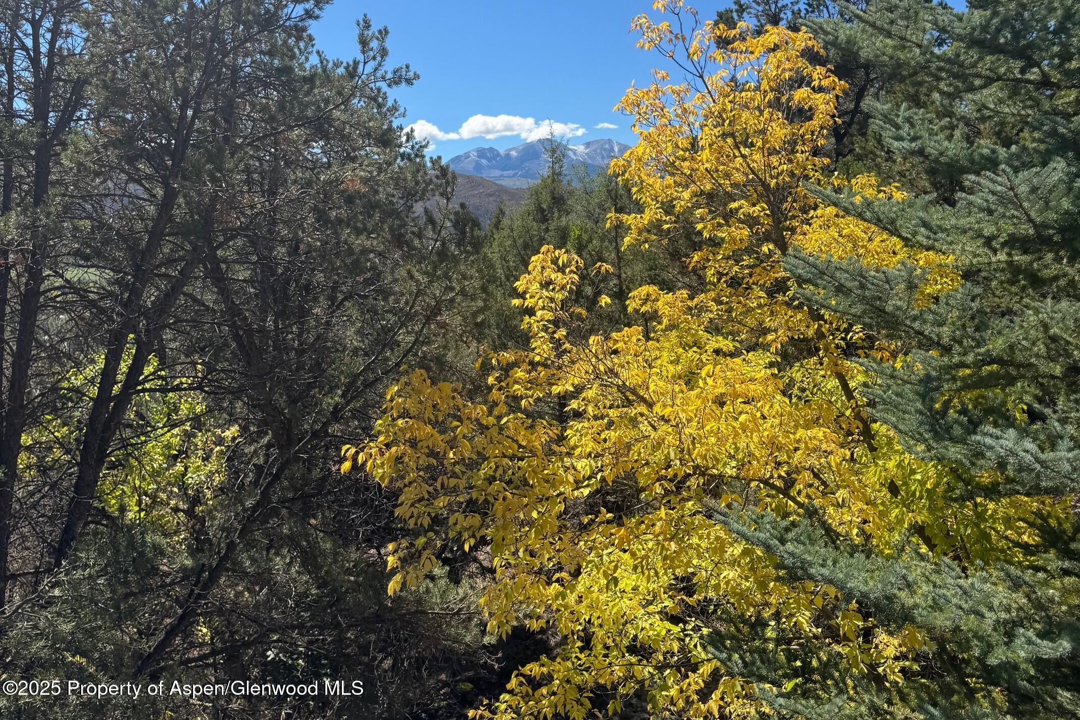 635 Cedar Drive Basalt CO 81621